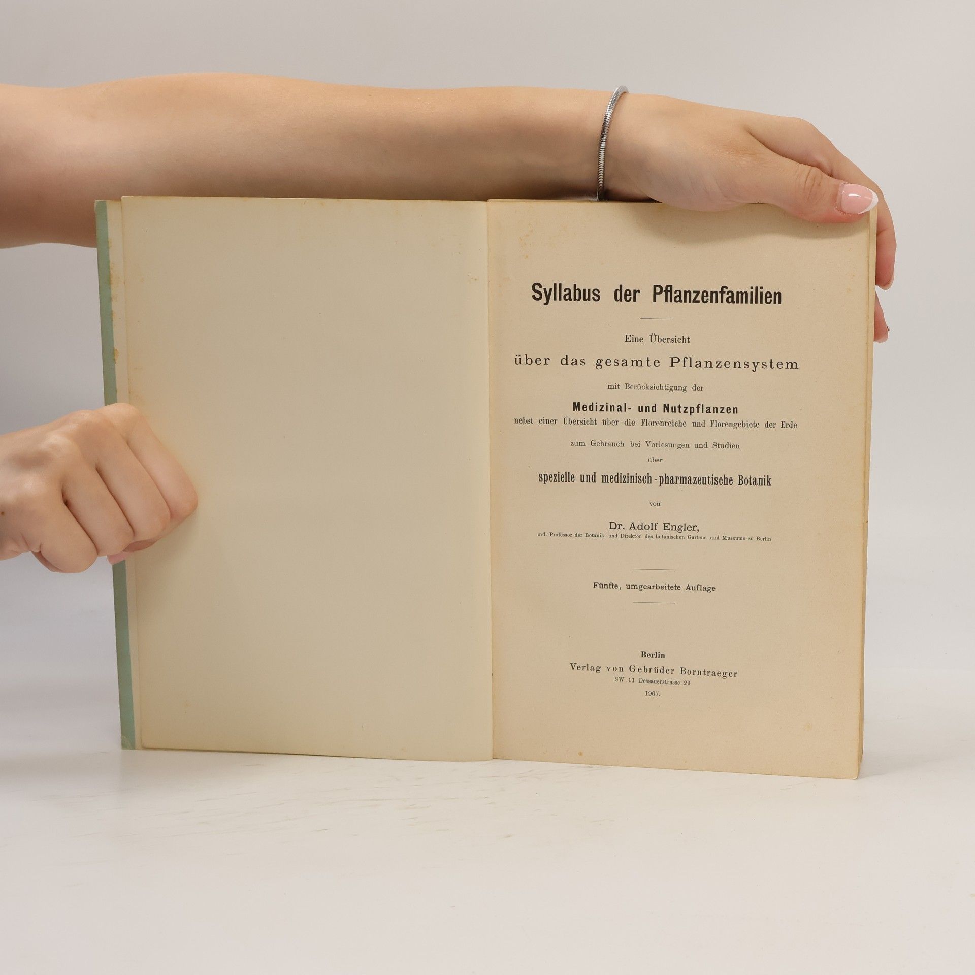 Adolf Engler Syllabus der Pflanzenfamilien