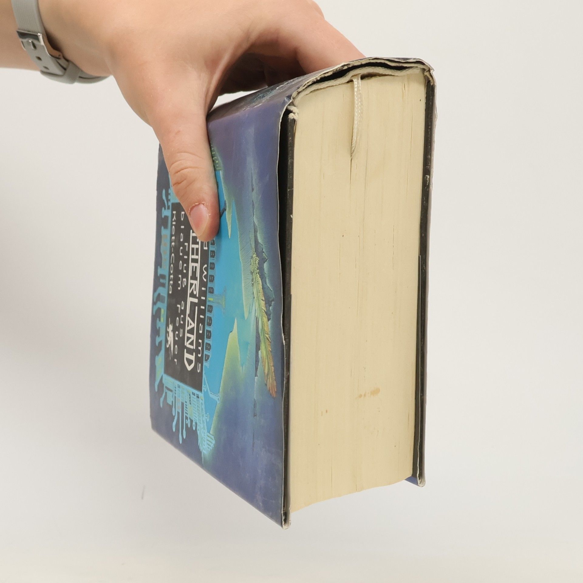 Tad Williams Otherland 2: Fluss aus Blauem Feuer