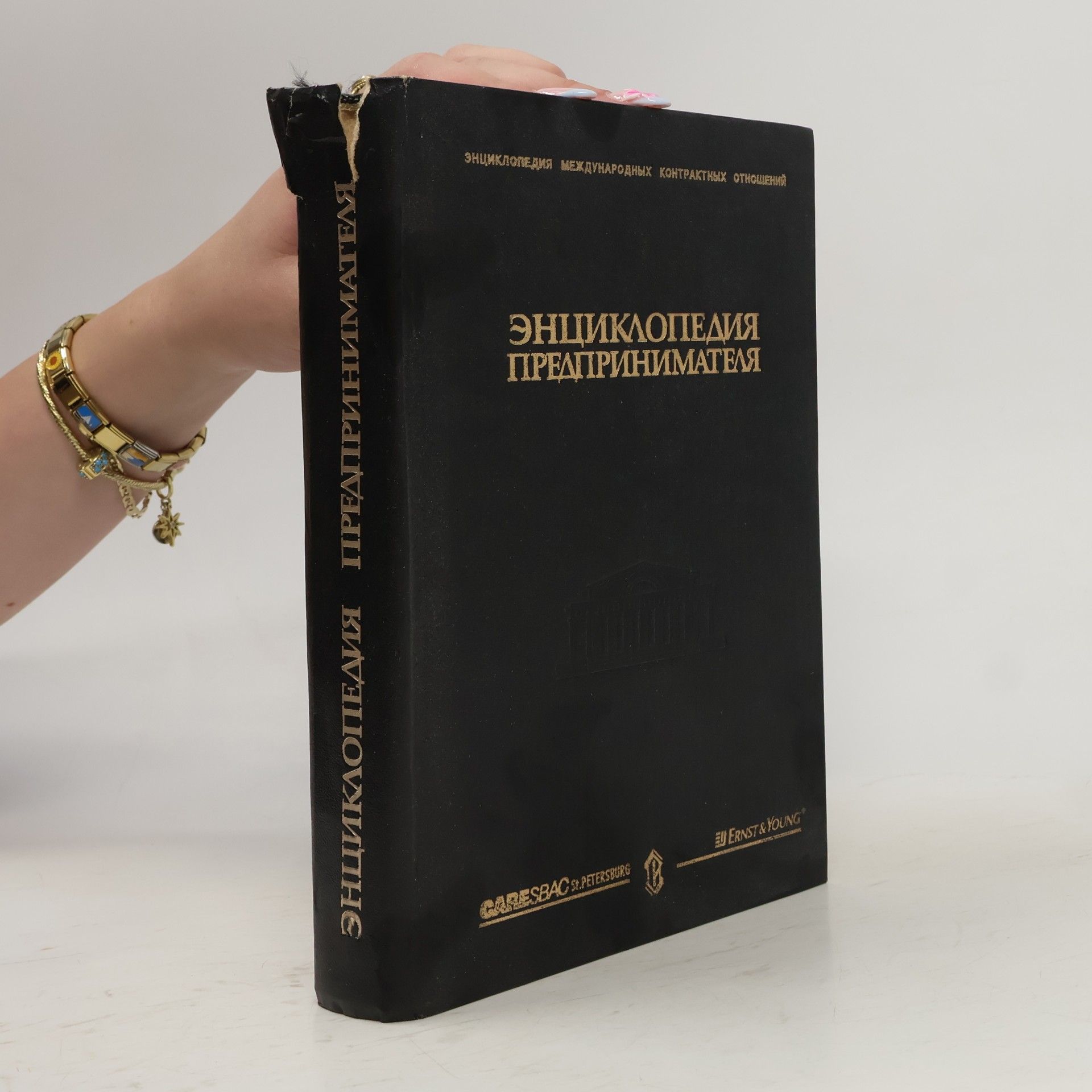 S. M. Sinelʹnikov Энциклопедия предпринимателя
