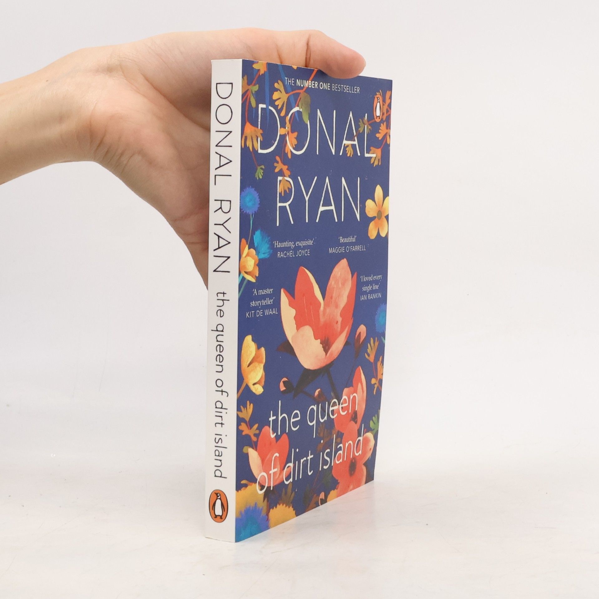 Donal Ryan The Queen of Dirt Island