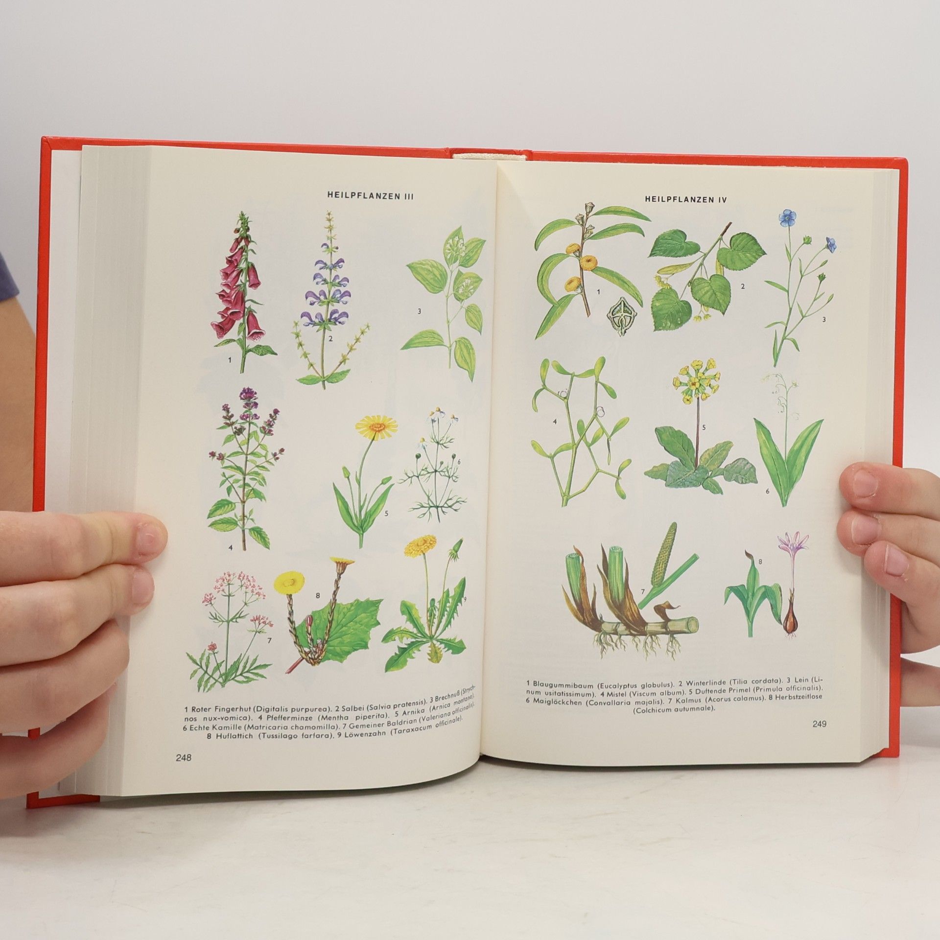 Karl-Heinz Ahlheim Schülerduden die Biologie