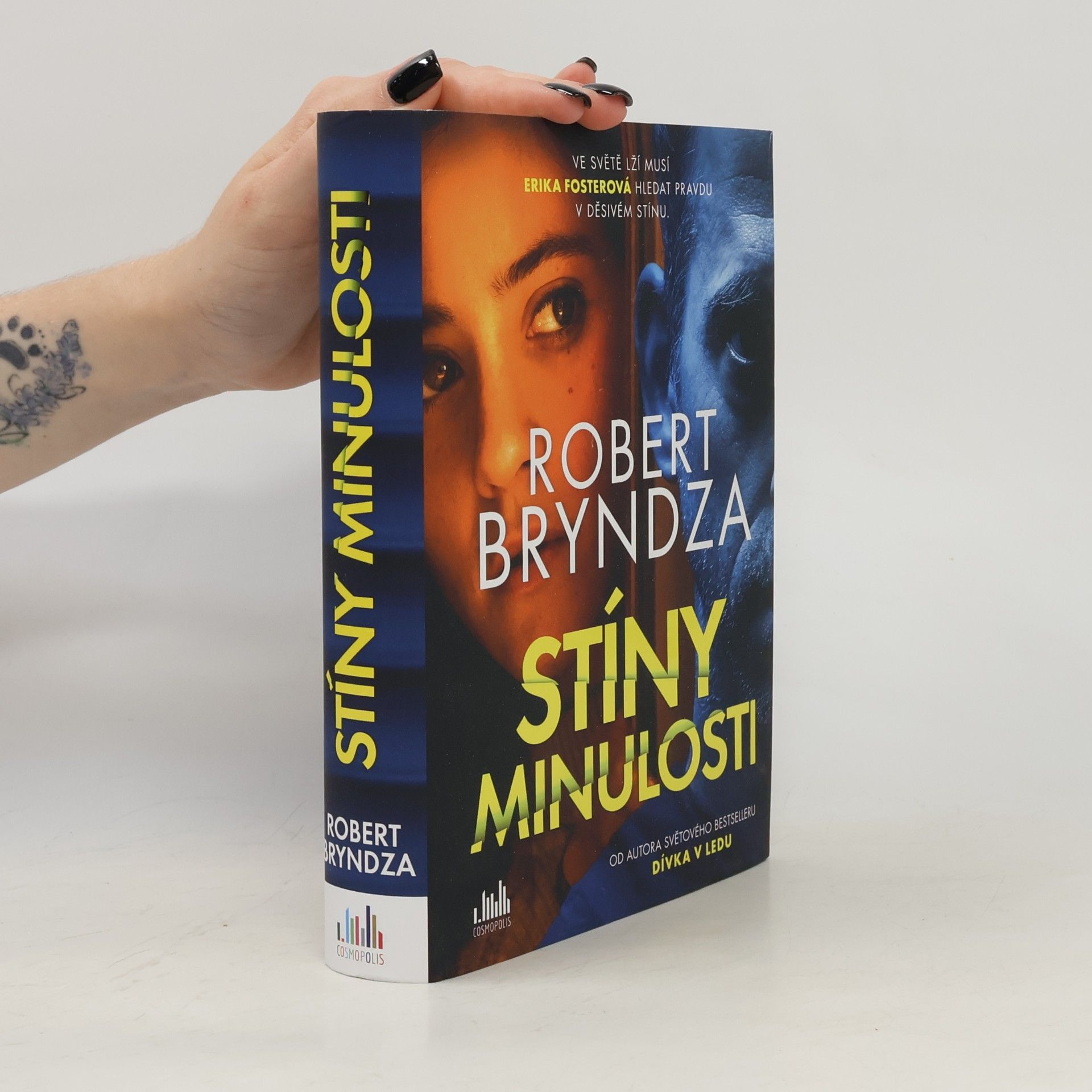 Robert Bryndza Stíny minulosti