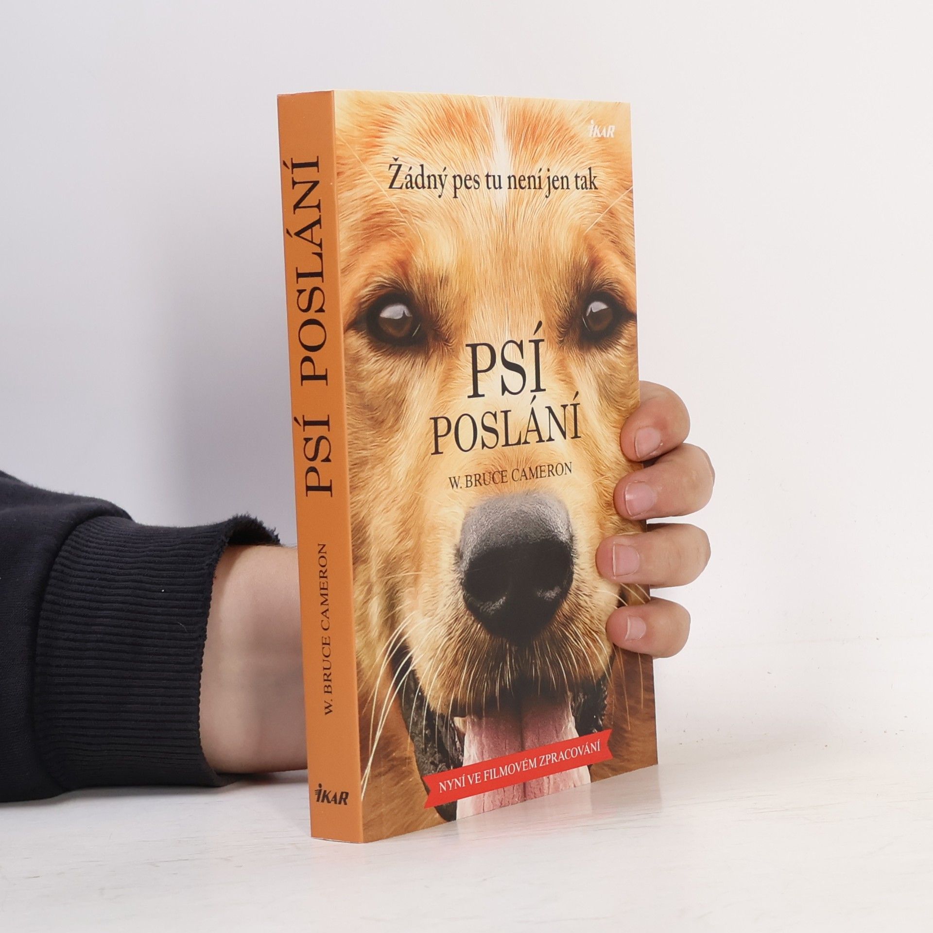 W. Bruce Cameron Psí poslání. Žádný pes tu není jen tak