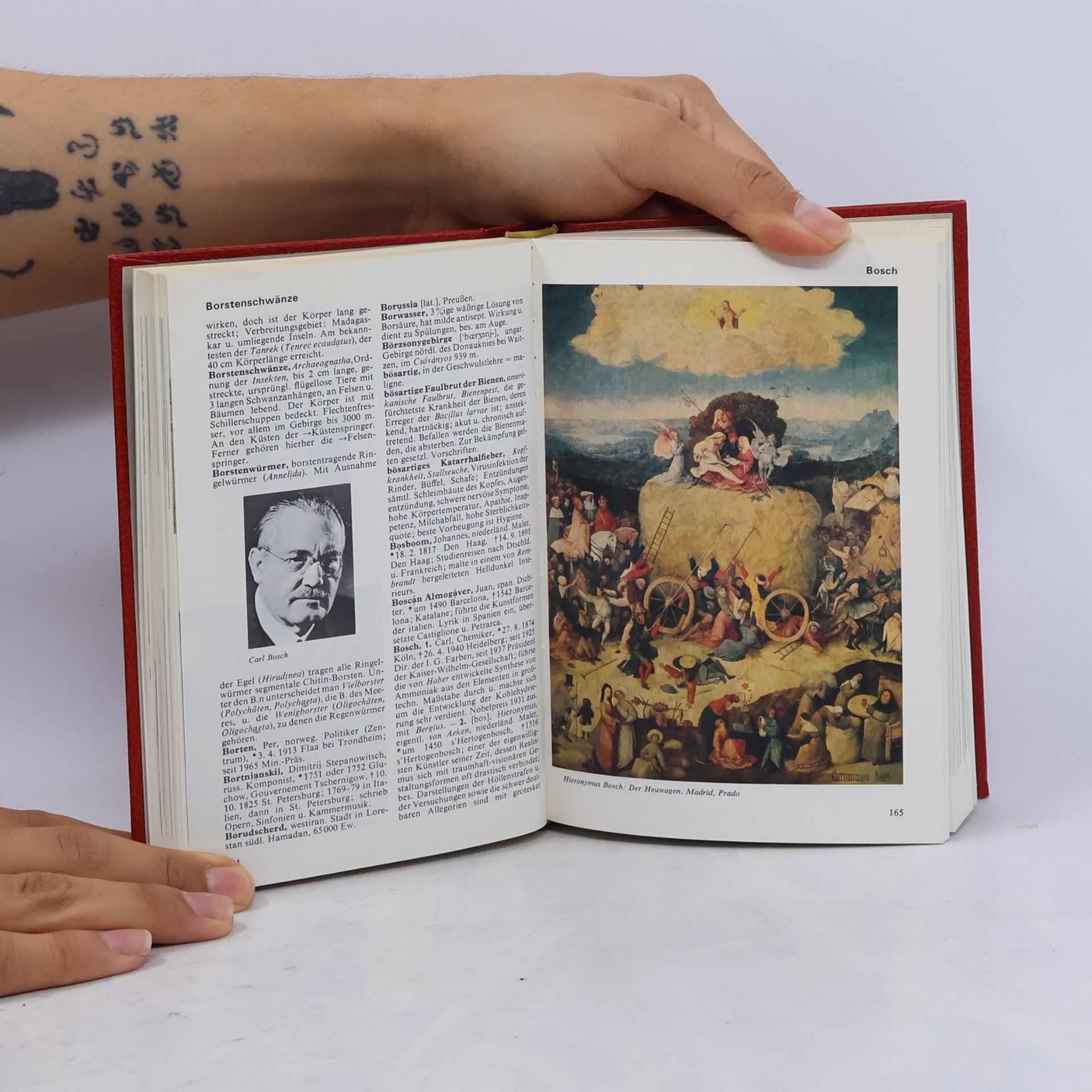 Autorenkollektiv Das moderne Lexikon 3. Bf-Cha