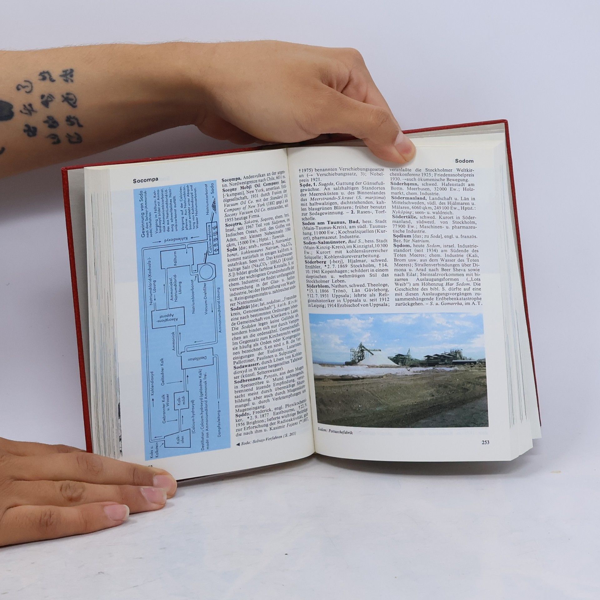 Collectif d'auteurs Das Moderne Lexikon 17. Schum-Stech