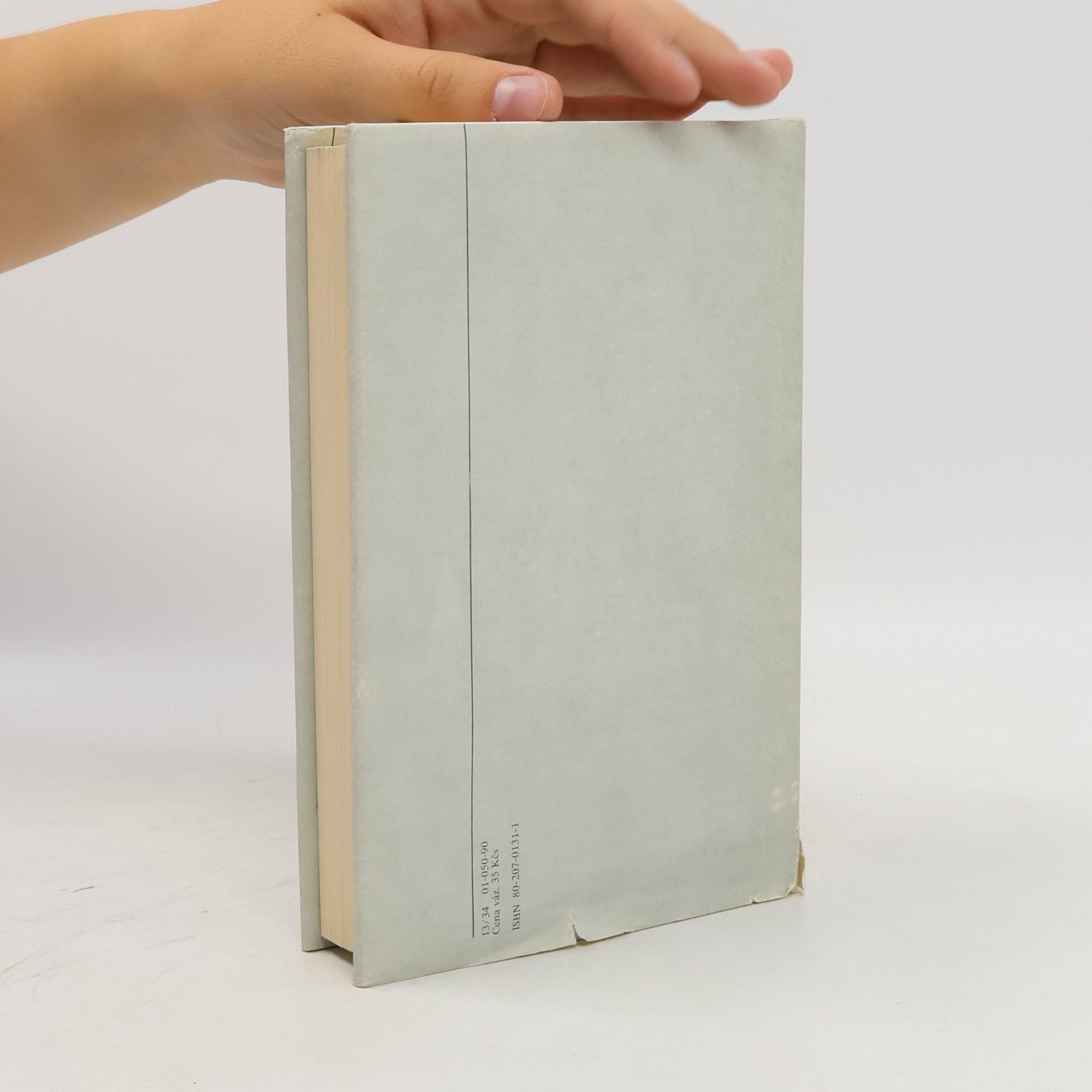 John Irving Svět podle Garpa