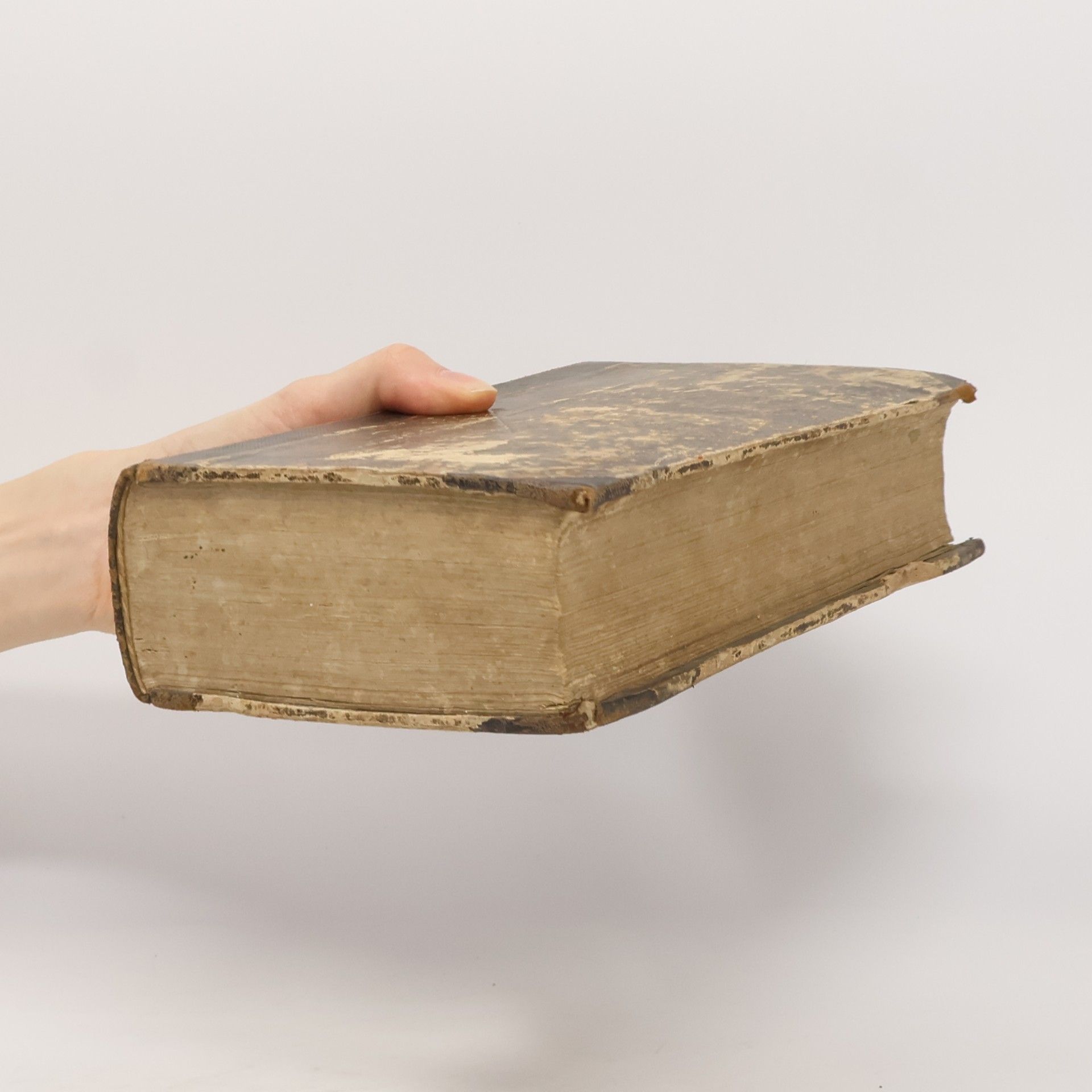 R. P. Goffine R. P. Goffine Ord. Praem. Christkatholisches neueingerichtetes, verbessertes, nach dem römischen Messbuche berichtigtes, und sehr verniehrtes Unterrichtungbuch