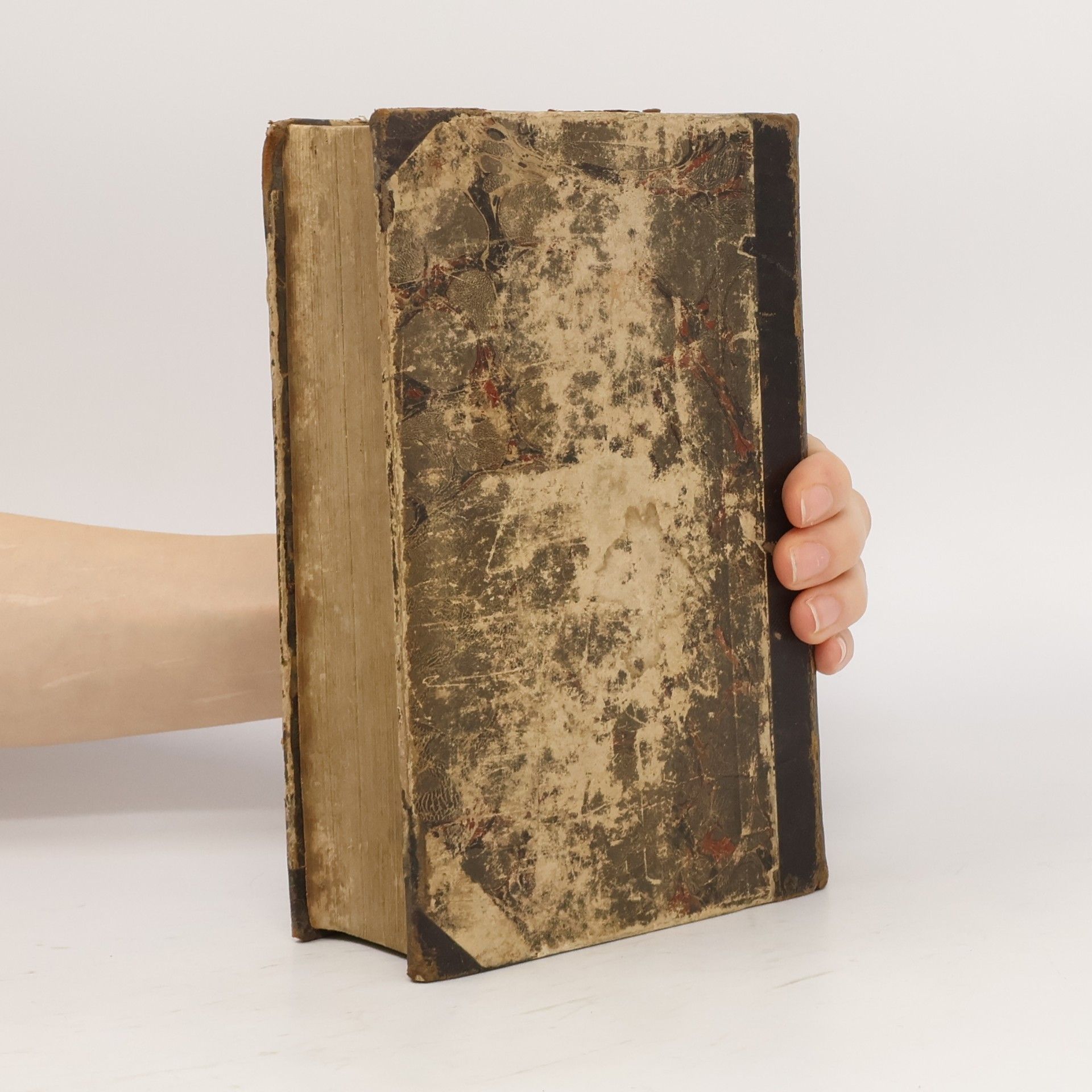 R. P. Goffine R. P. Goffine Ord. Praem. Christkatholisches neueingerichtetes, verbessertes, nach dem römischen Messbuche berichtigtes, und sehr verniehrtes Unterrichtungbuch