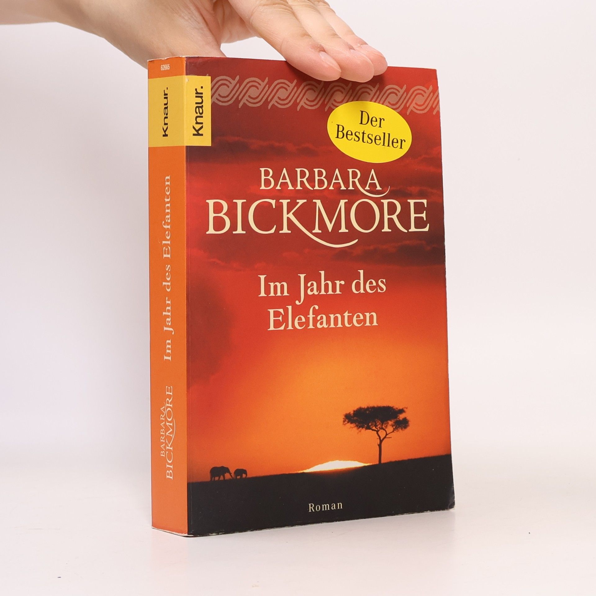 Barbara Bickmore Im Jahr des Elefanten