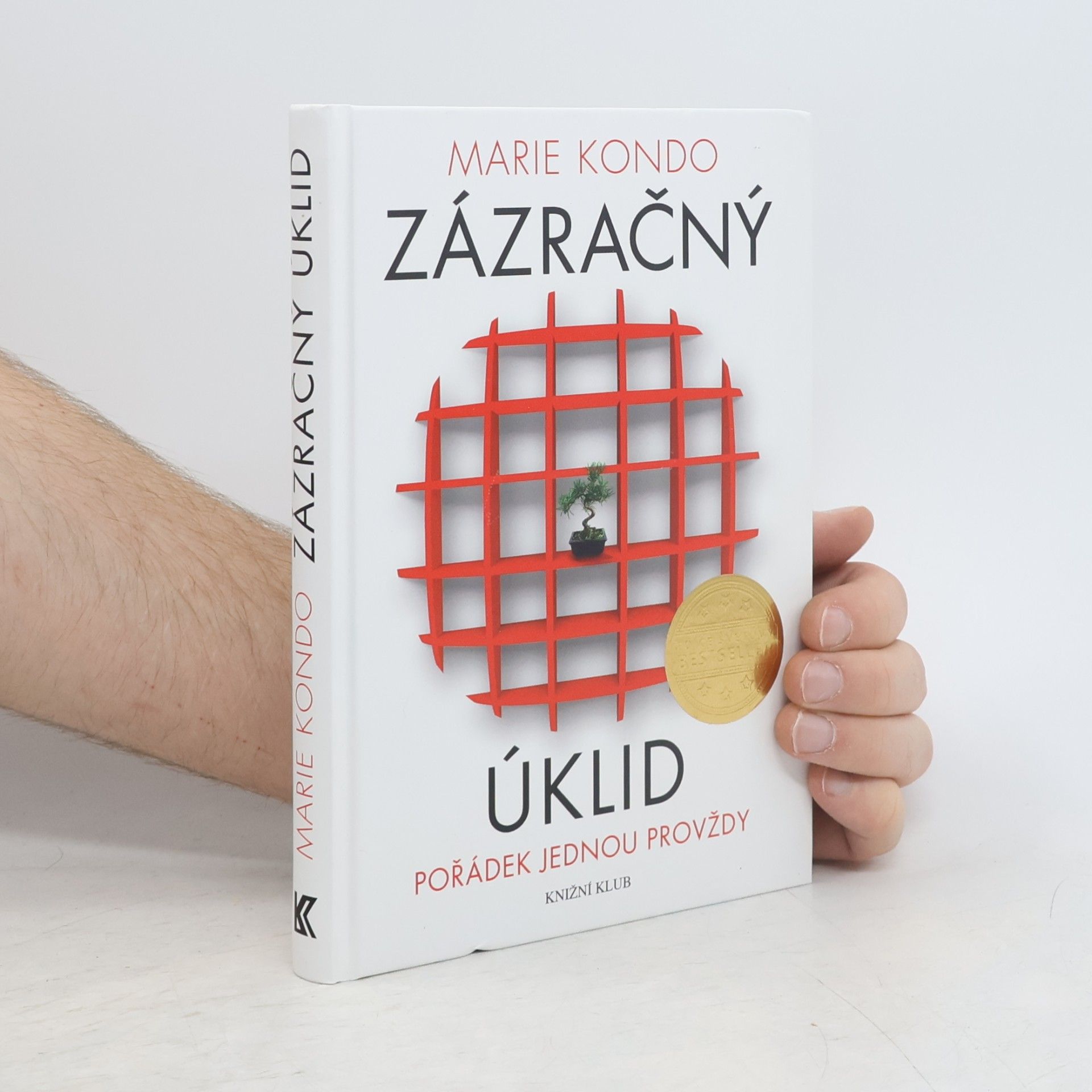 Zázračný úklid