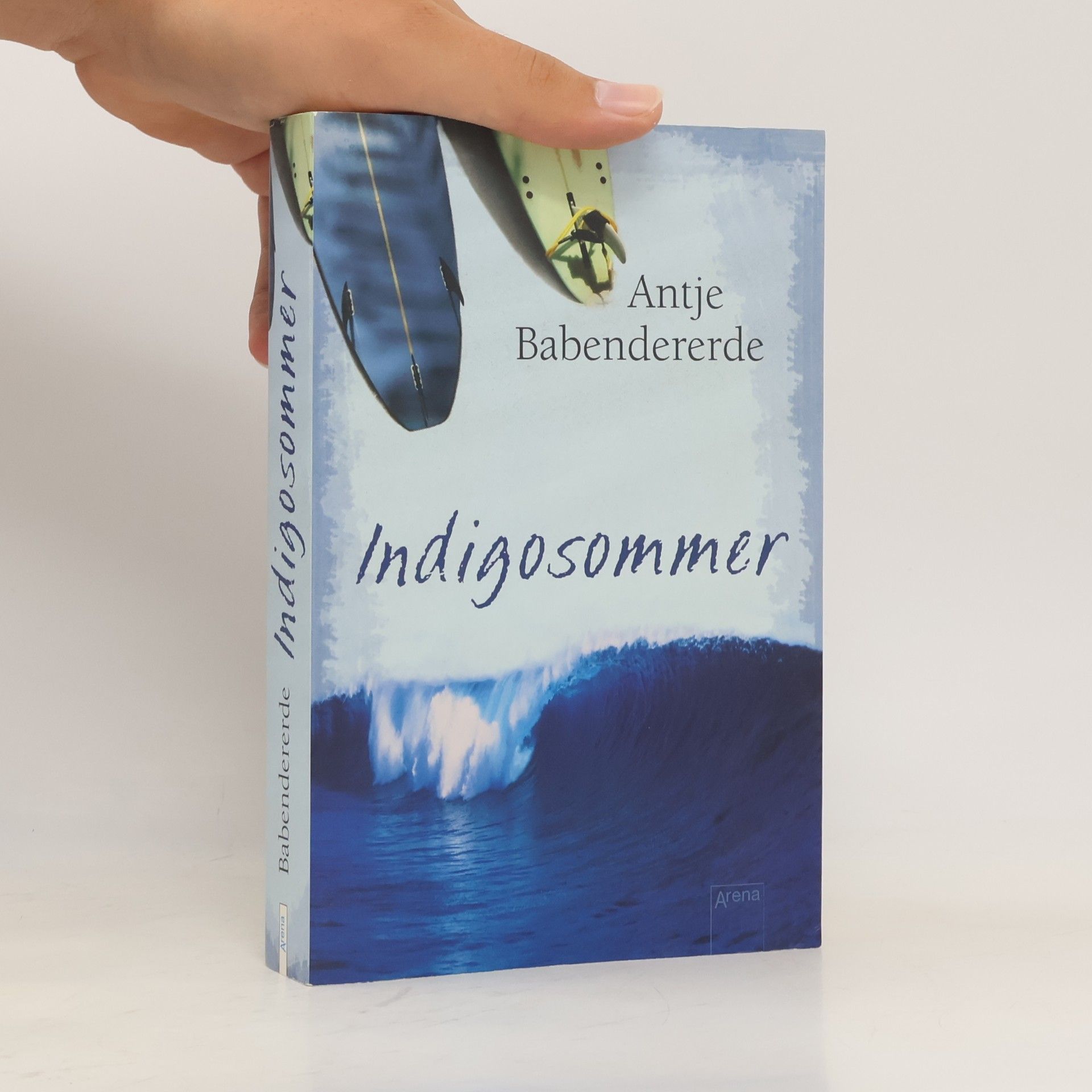 Antje Babendererde Indigosommer
