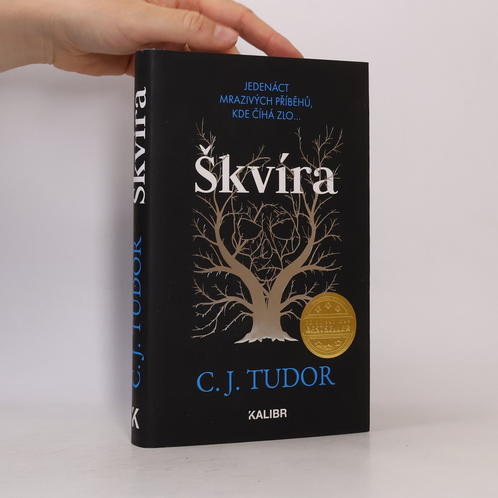Škvíra