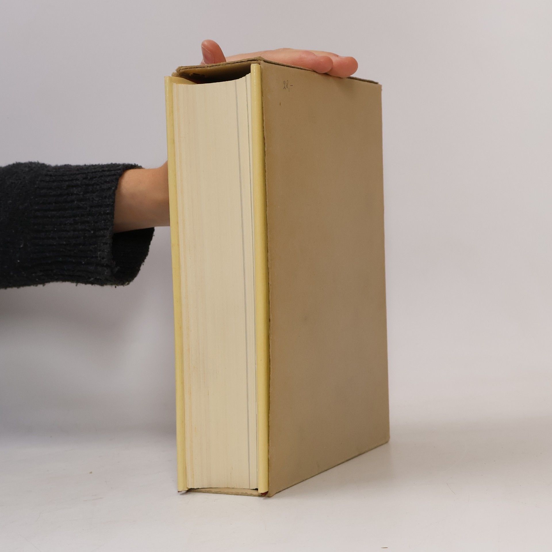 Autorenkollektiv Das Große Duden Lexikon 1. A-B