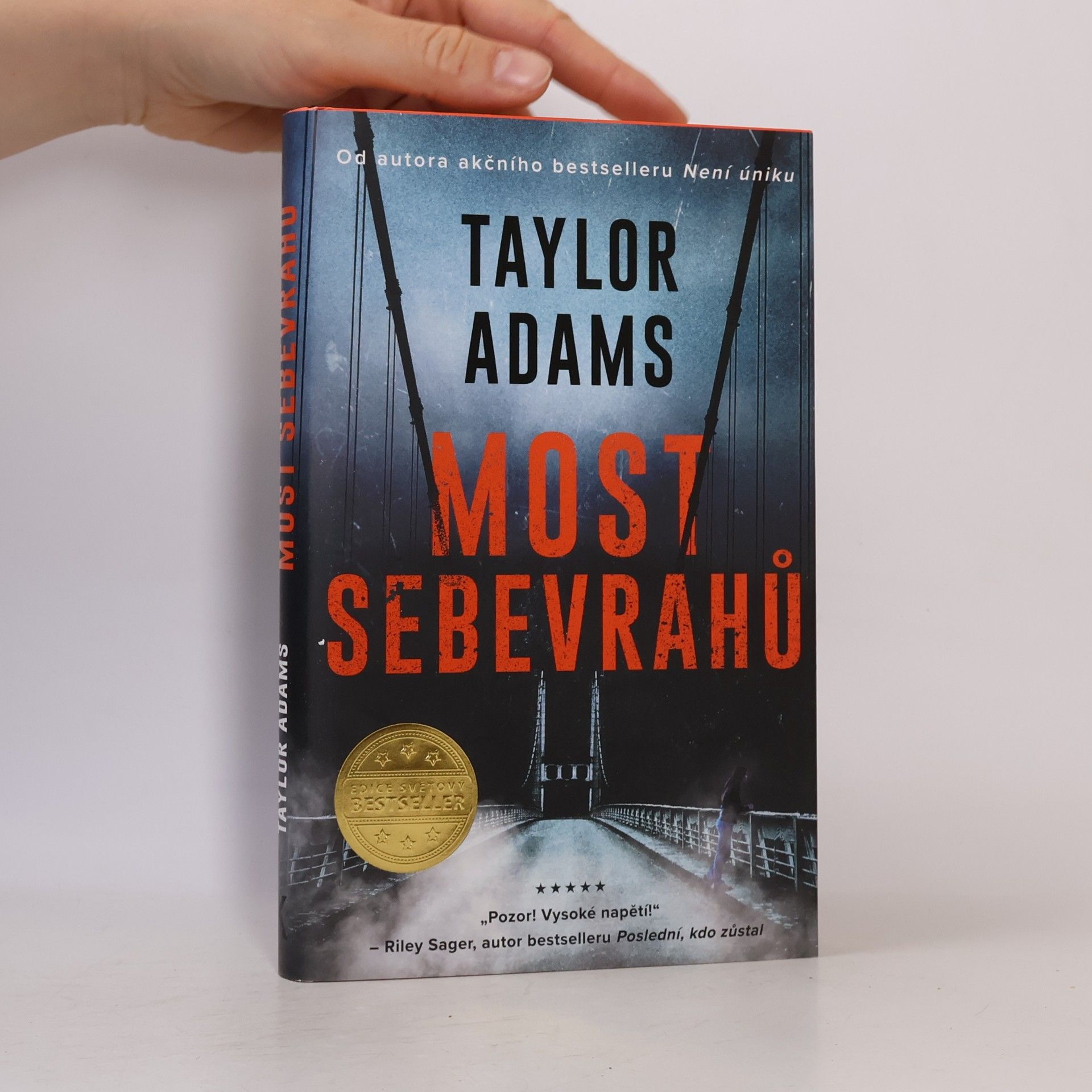 Taylor Adams Most sebevrahů