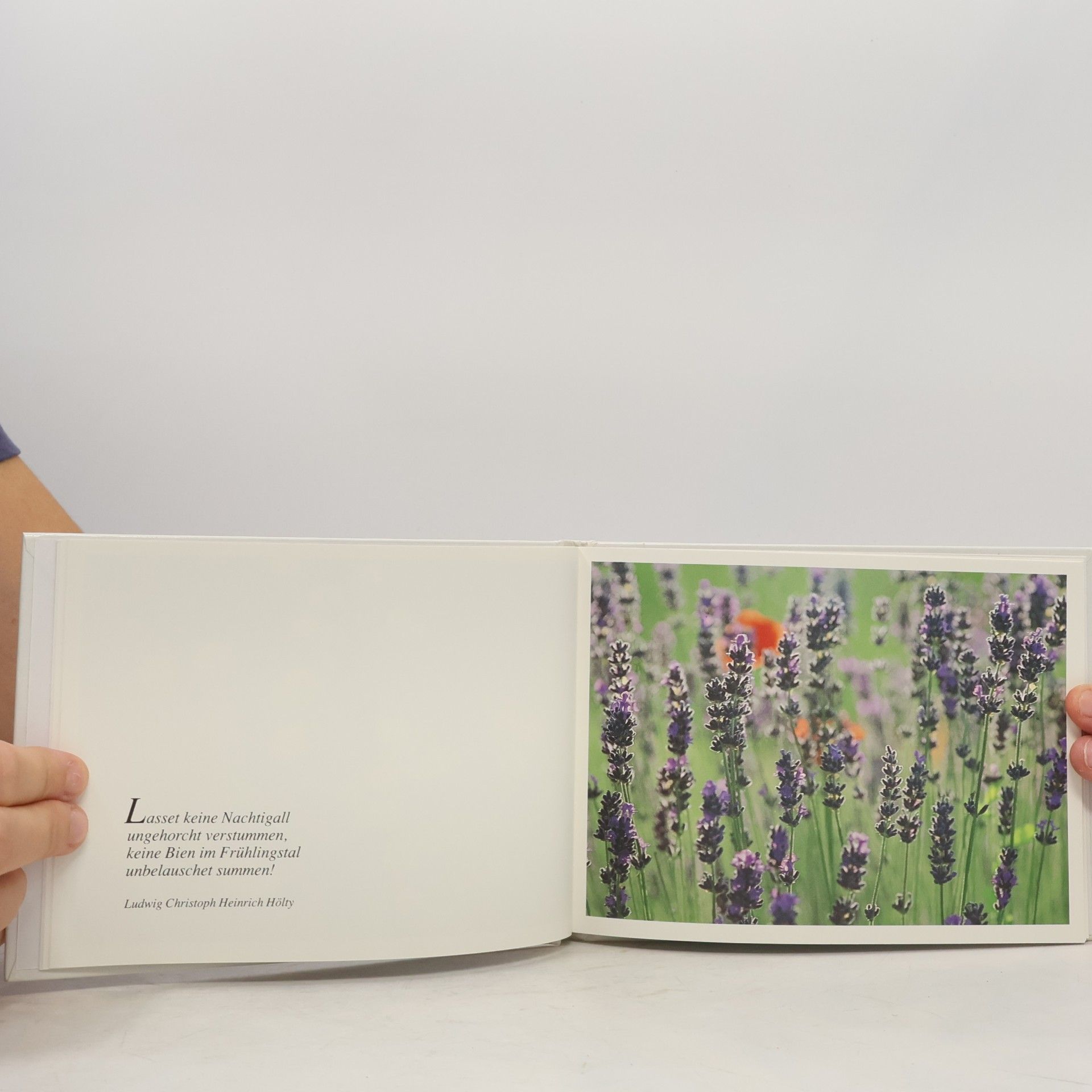Collectif d'auteurs Wiesenblumen, aus lauter Freude am Leben