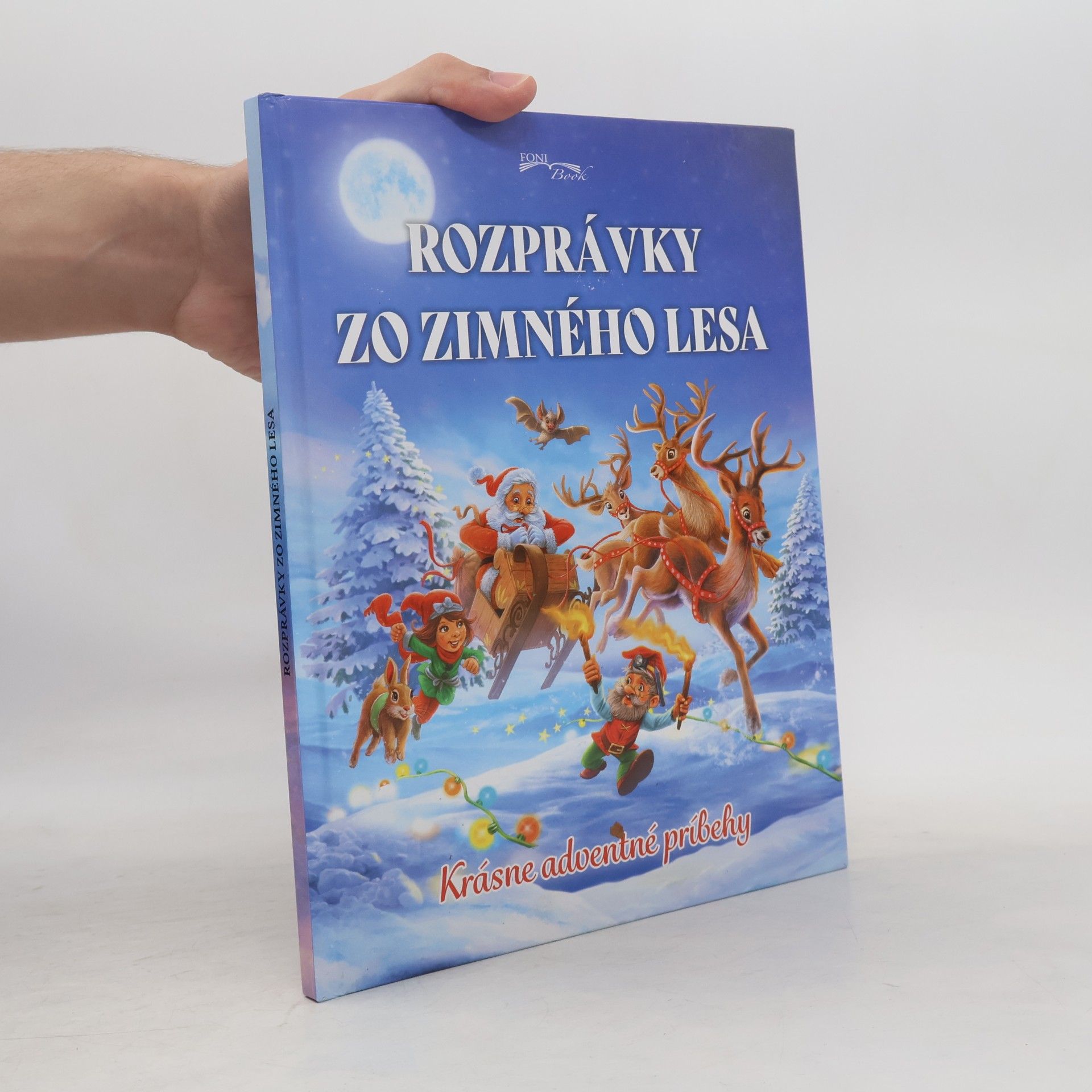 Autorenkollektiv Rozprávky zo zimného lesa