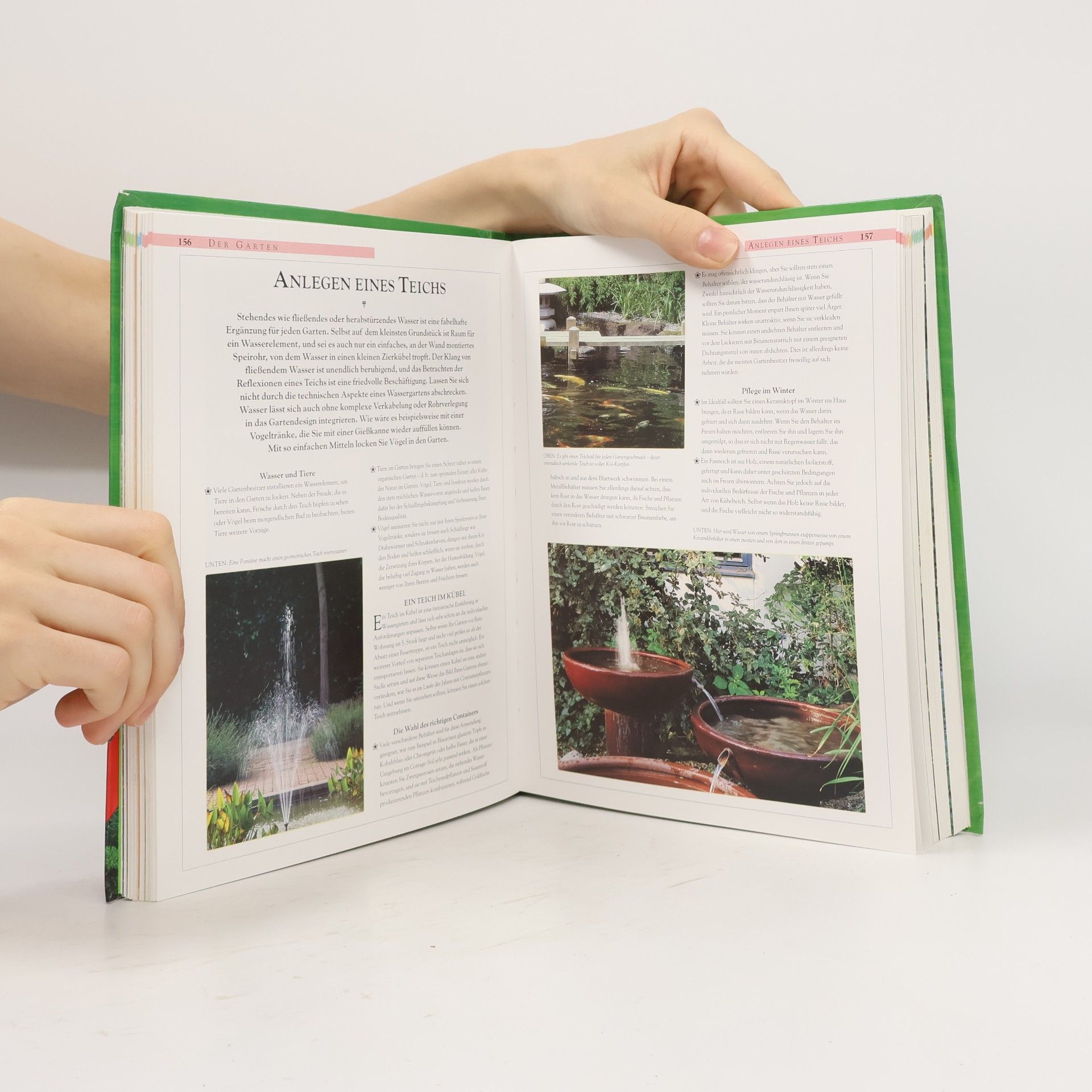 Deena Beverley Der Garten