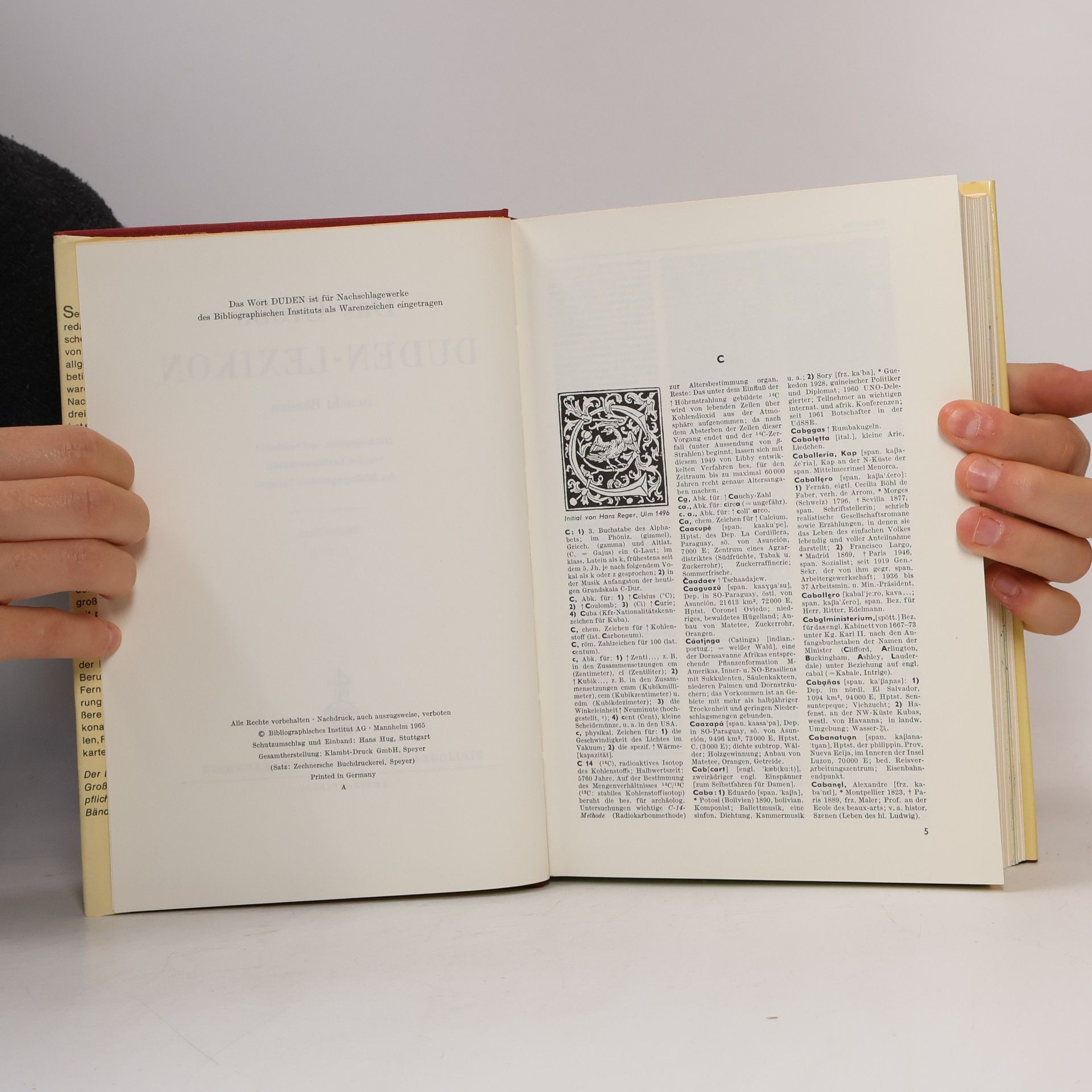 Autorenkollektiv Das Große Duden Lexikon 2. C,D,E
