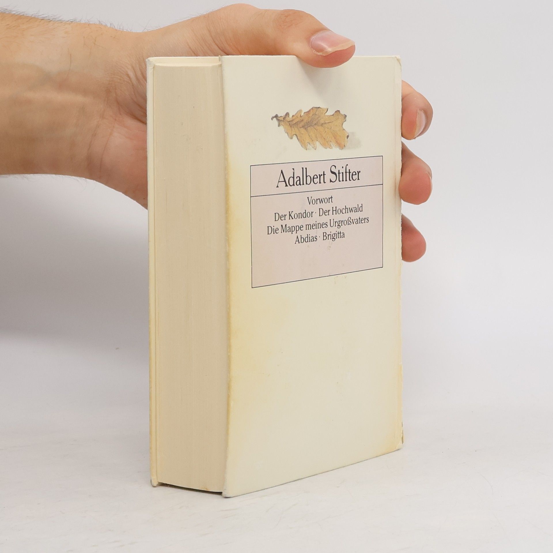 Adalbert Stifter Gesammelte Werke. Novellen I