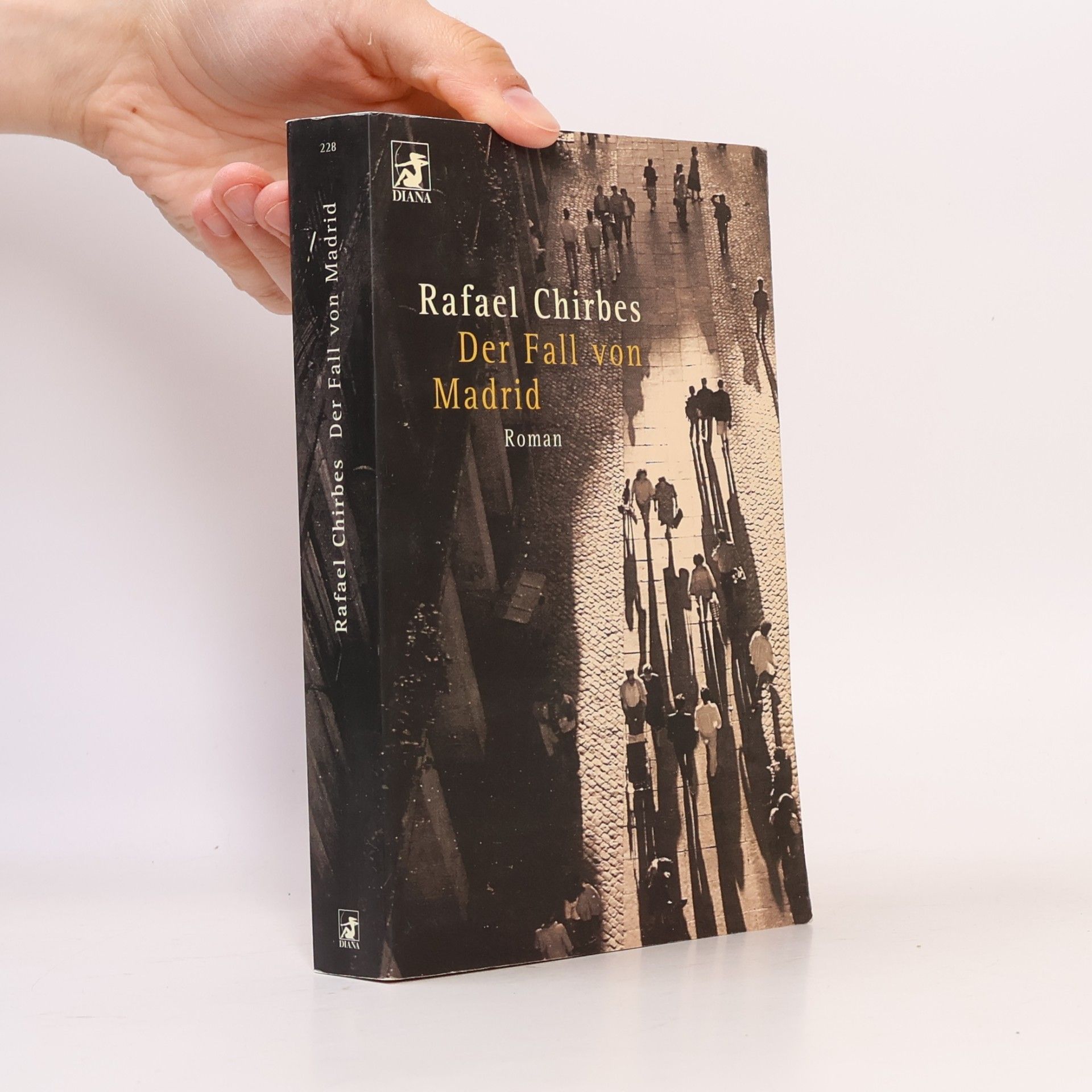 Rafael Chirbes Der Fall von Madrid