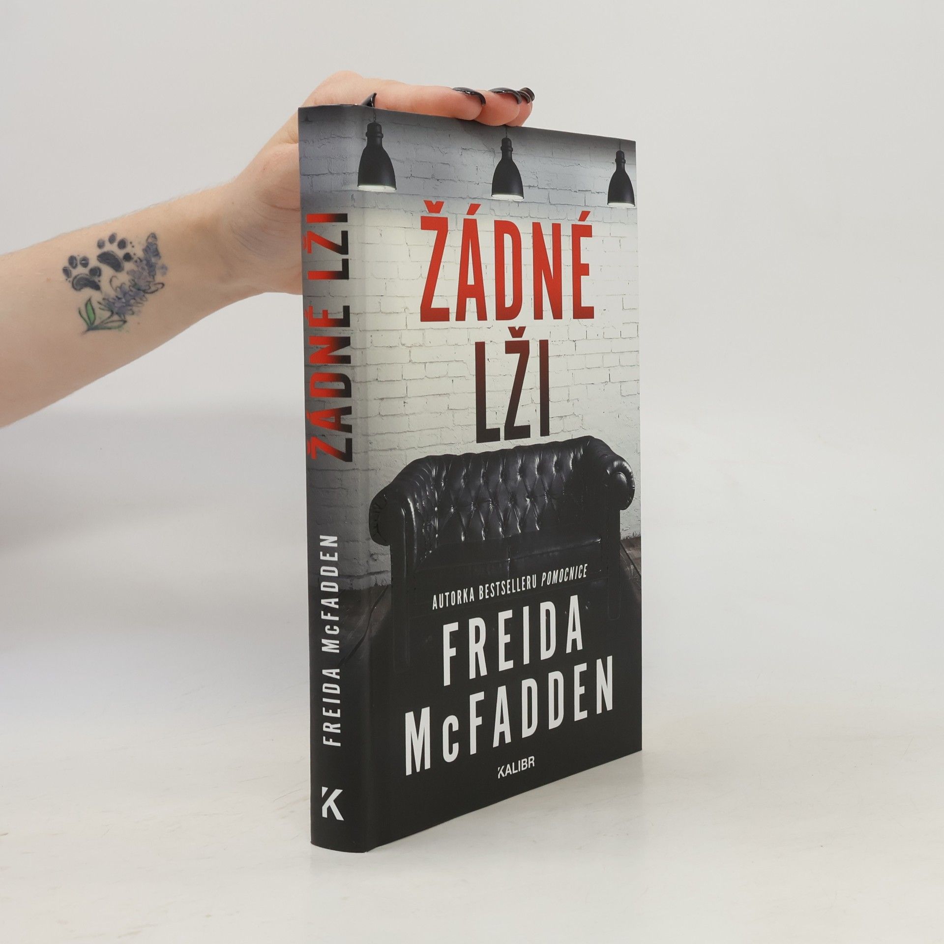 Freida McFadden Žádné lži