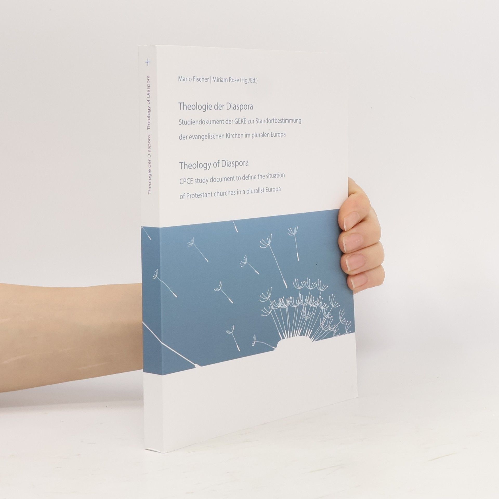 Miriam Rose Theologie der Diaspora
