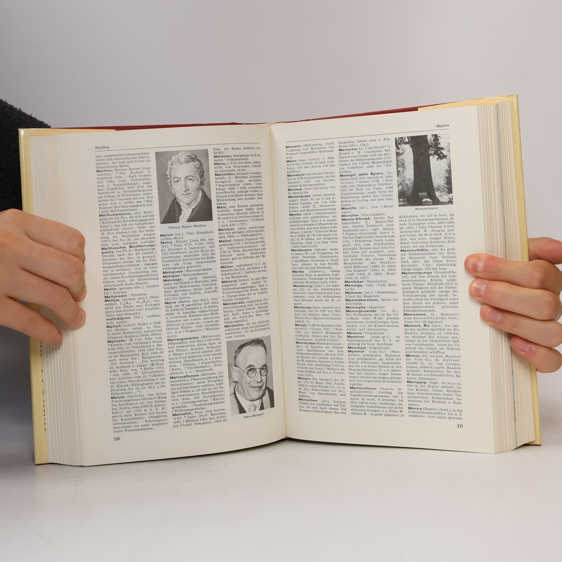 Various authors Das Große Duden Lexikon 5. L-M-N