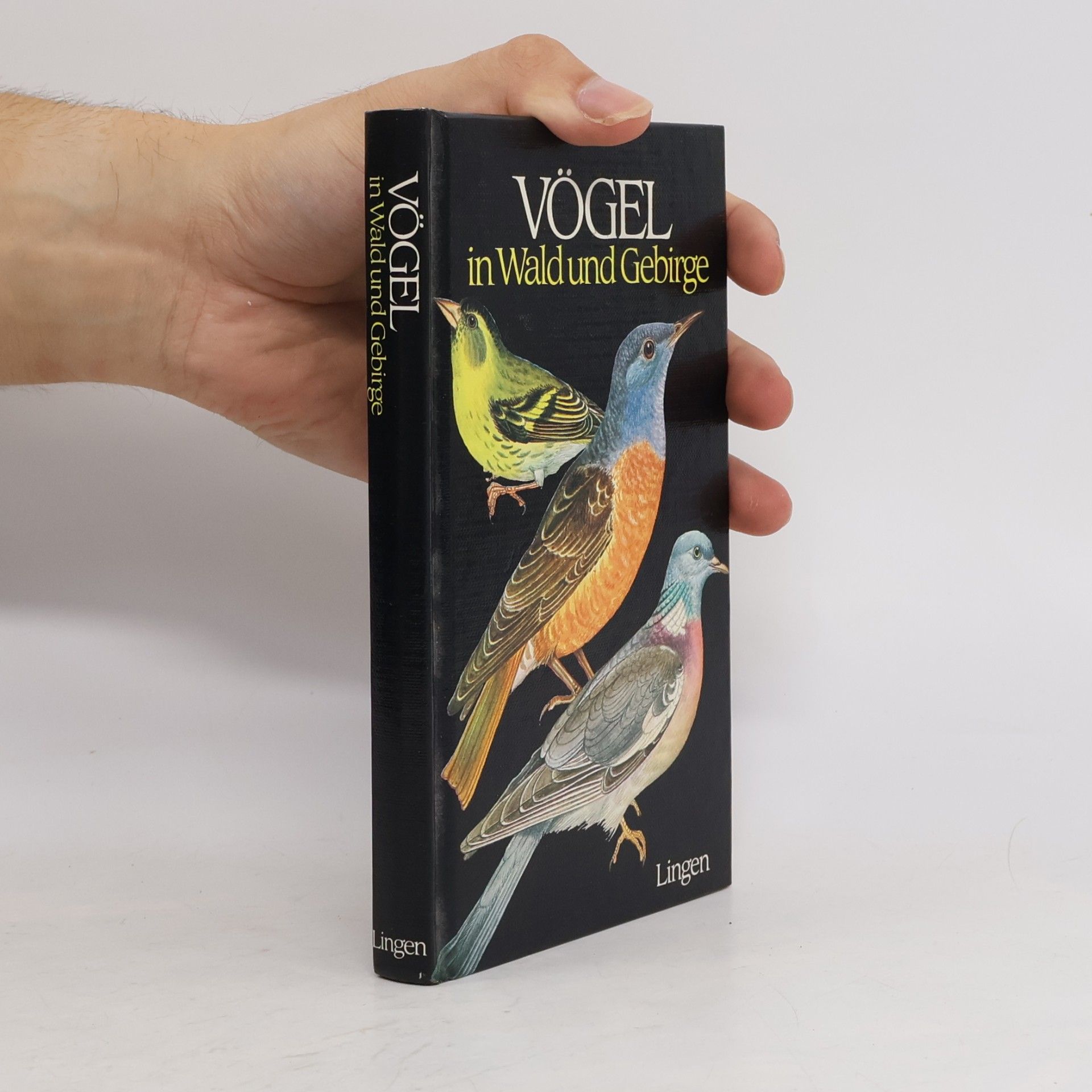 J. Felix Vögel in Wald und Gebirge