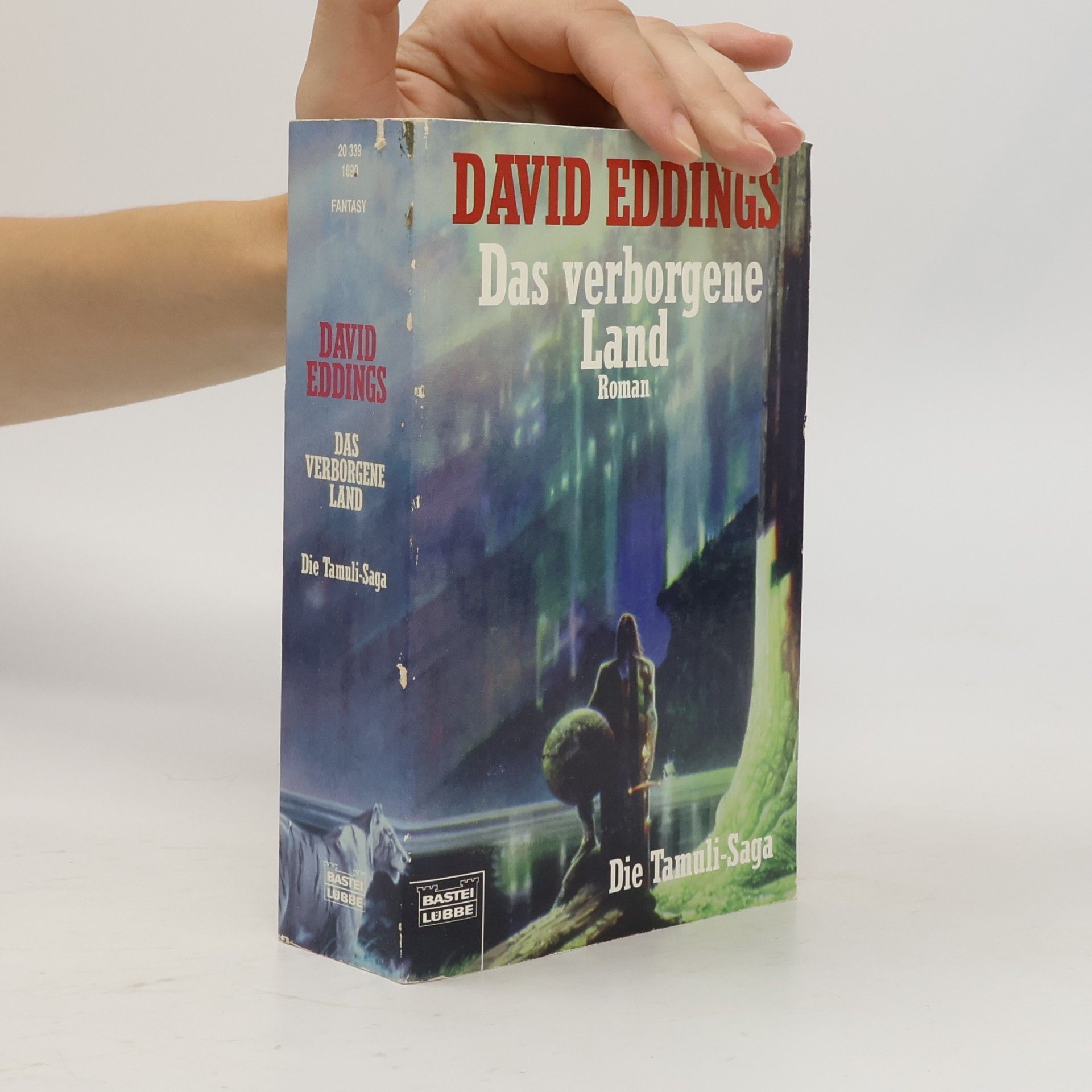 David Eddings Das verborgene Land