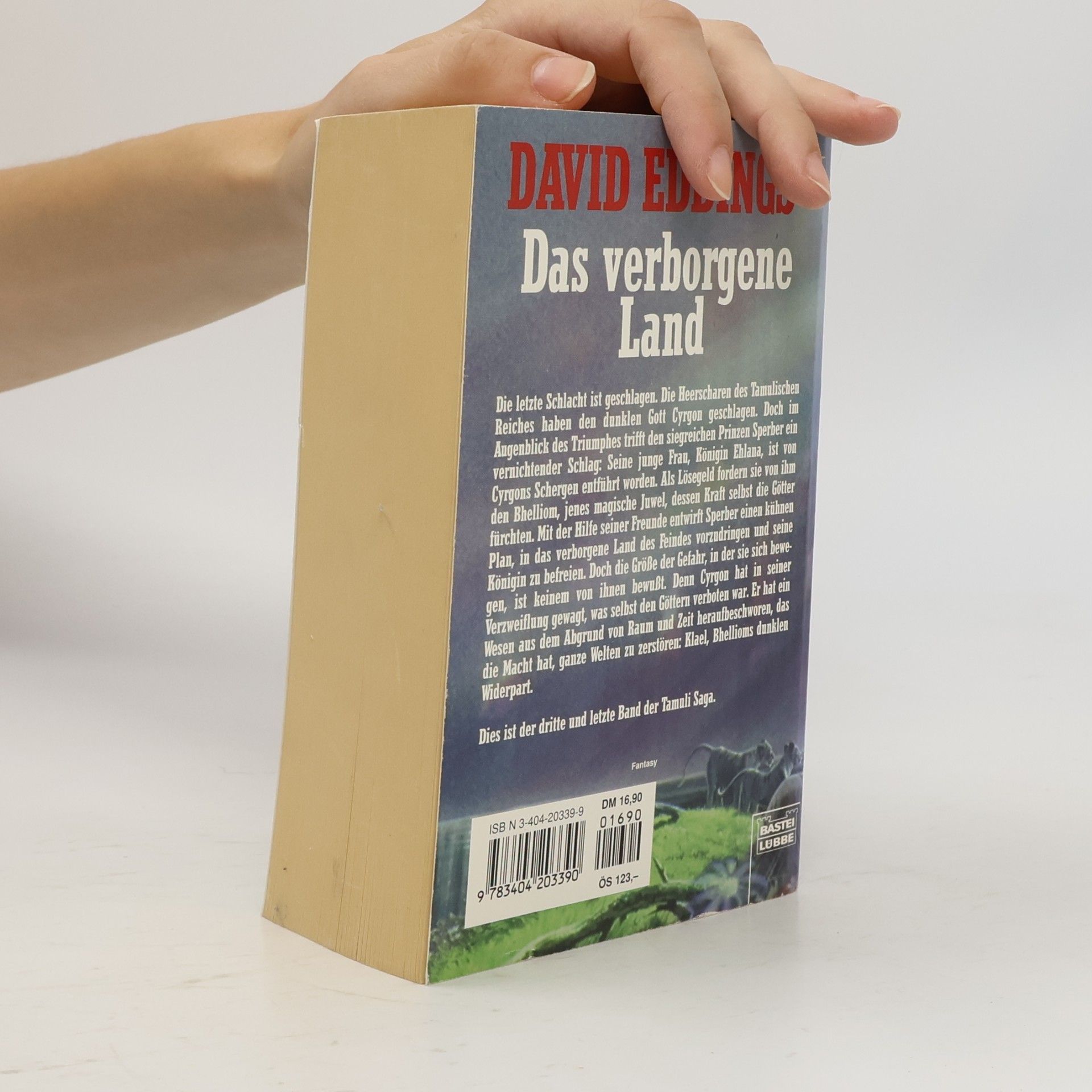 David Eddings Das verborgene Land