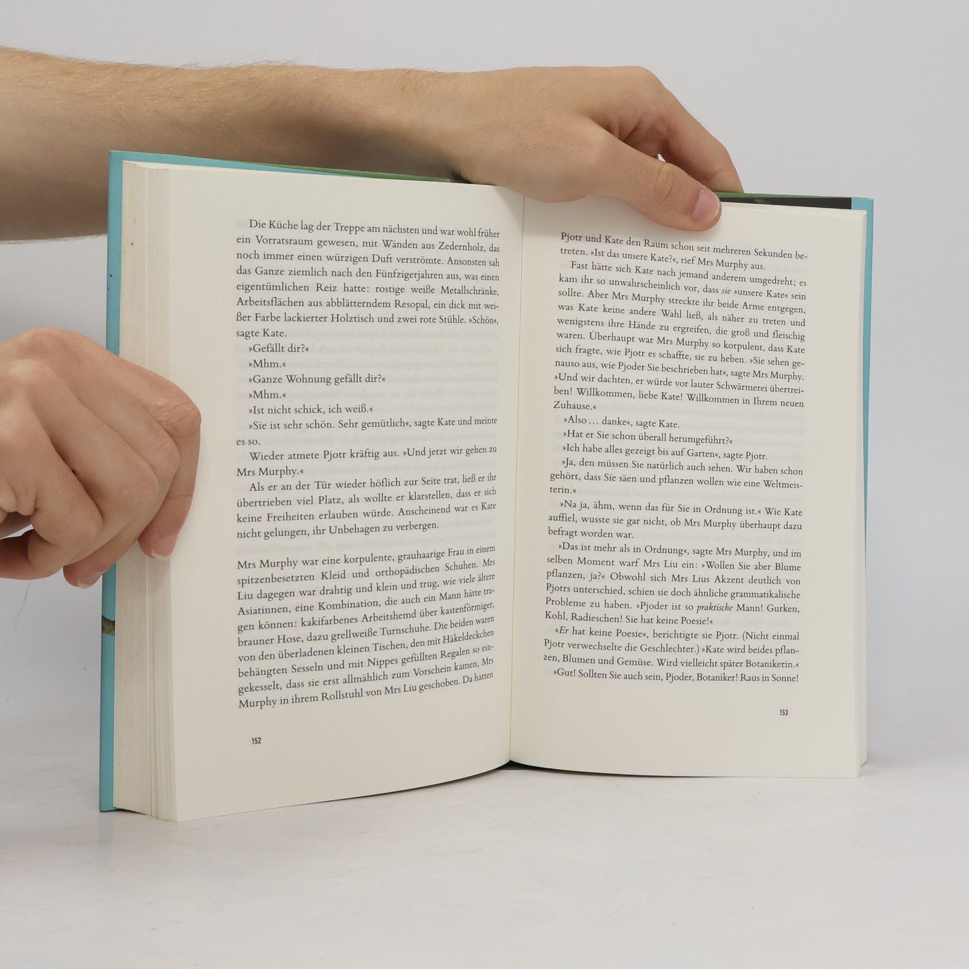 Anne Tyler Die störrische Braut