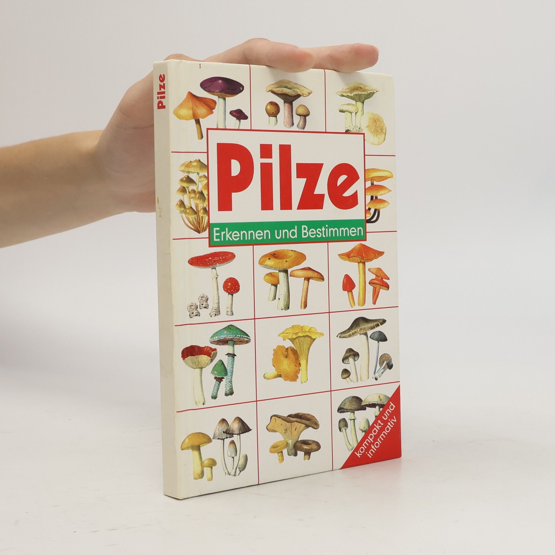 Derek A. Reid Pilze. Erkennen und bestimmen