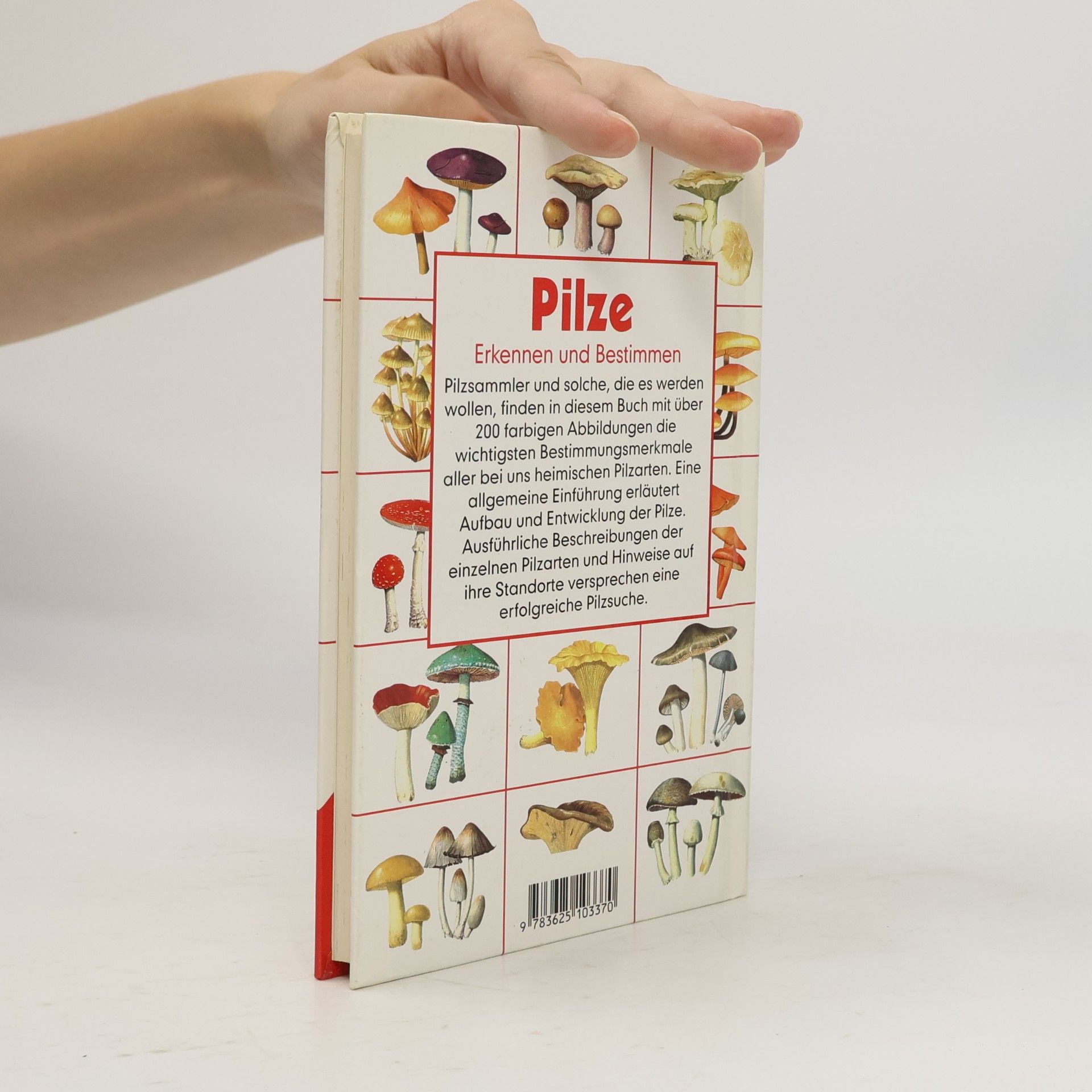 Autorenkollektiv Pilze. Erkennen und bestimmen