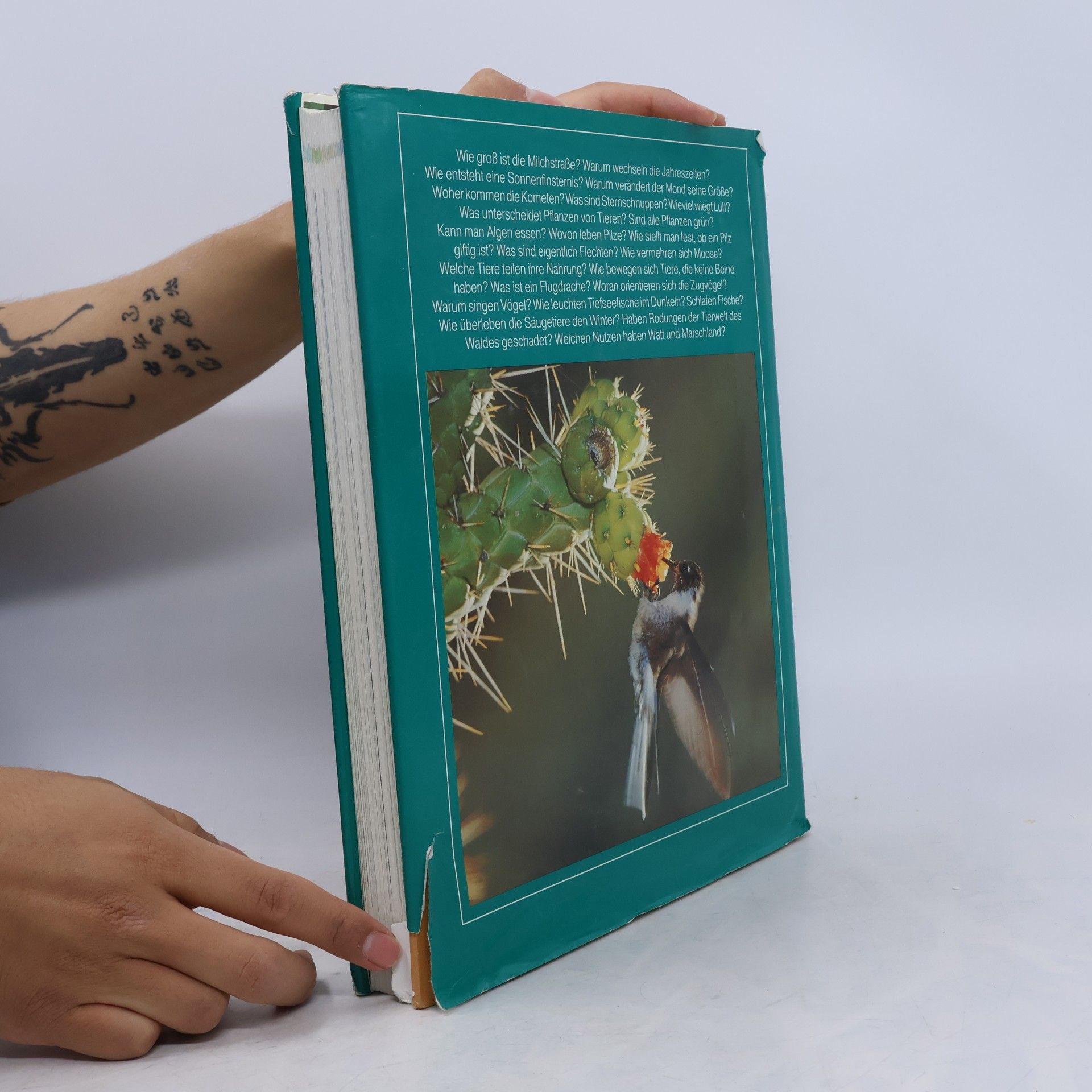 Various authors 1000 Fragen an die Natur