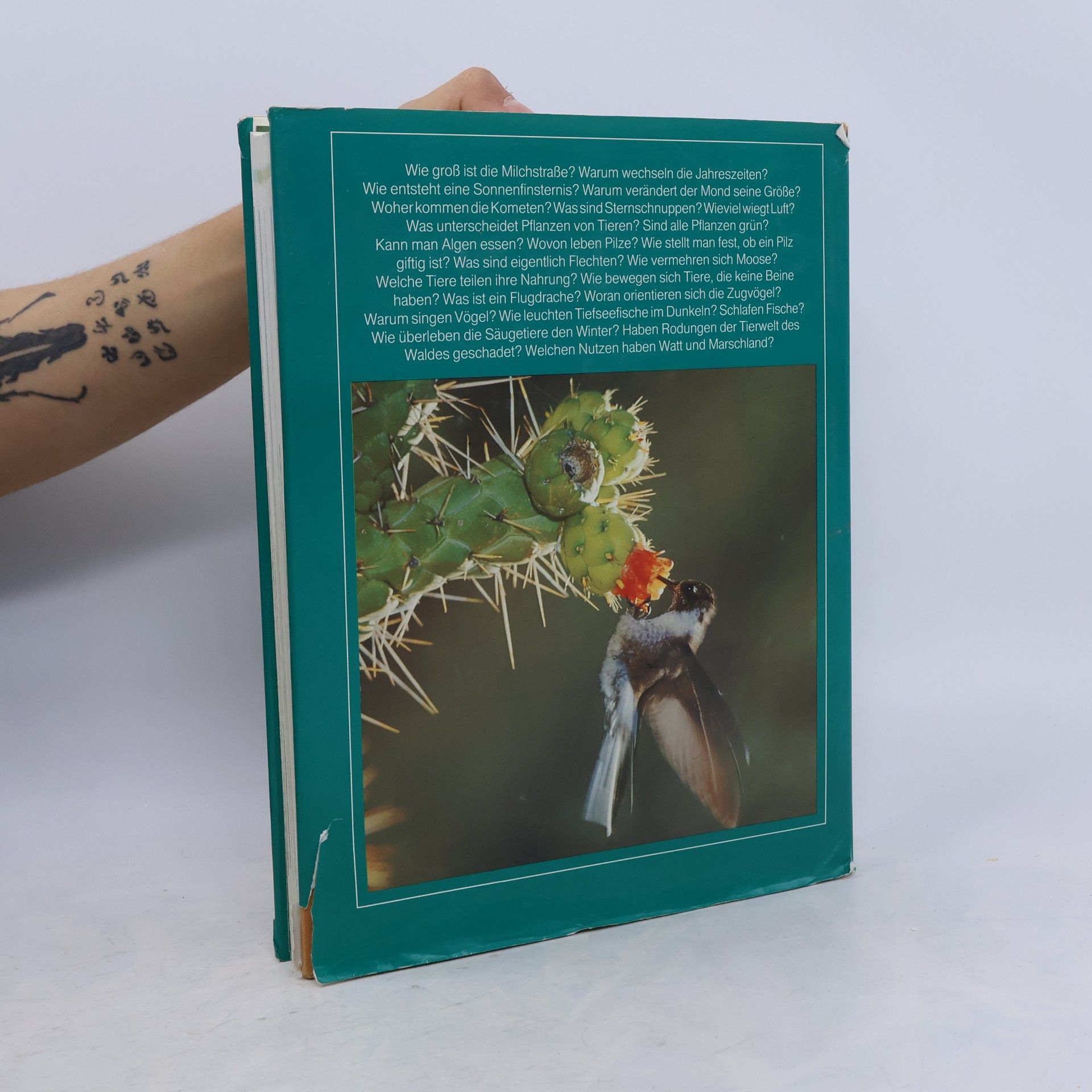 Various authors 1000 Fragen an die Natur