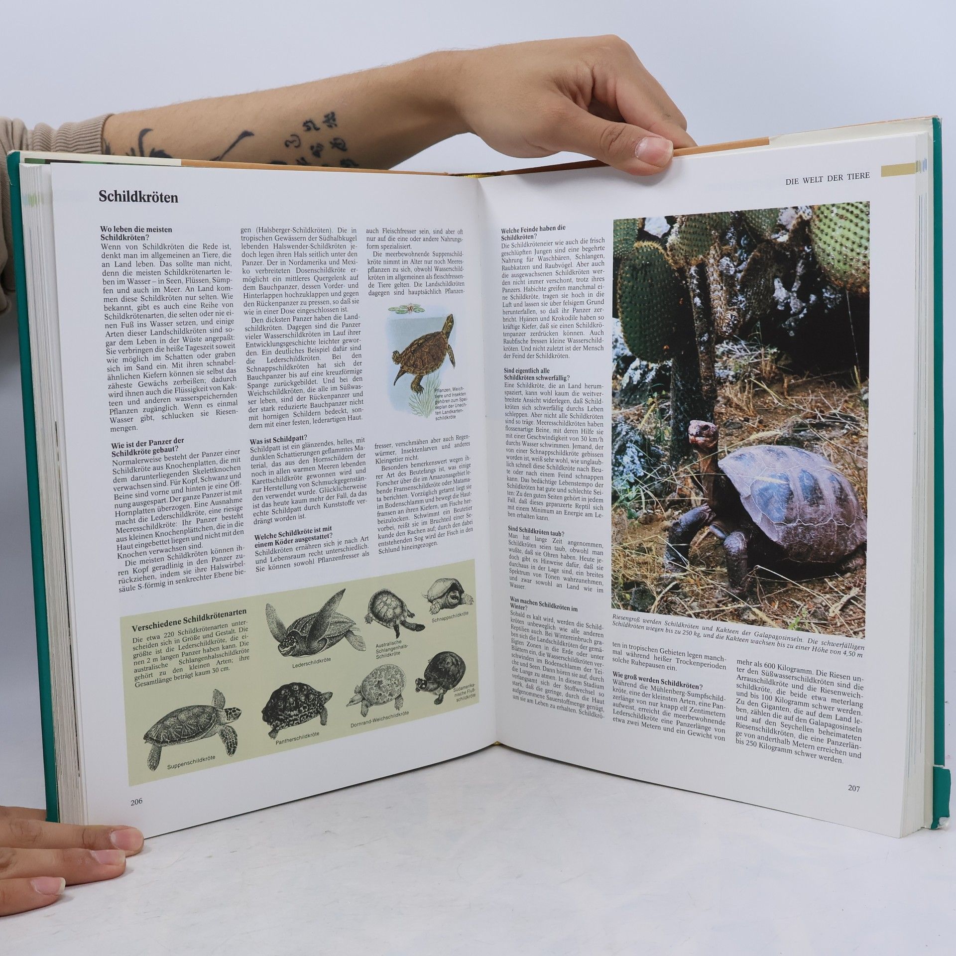 Various authors 1000 Fragen an die Natur