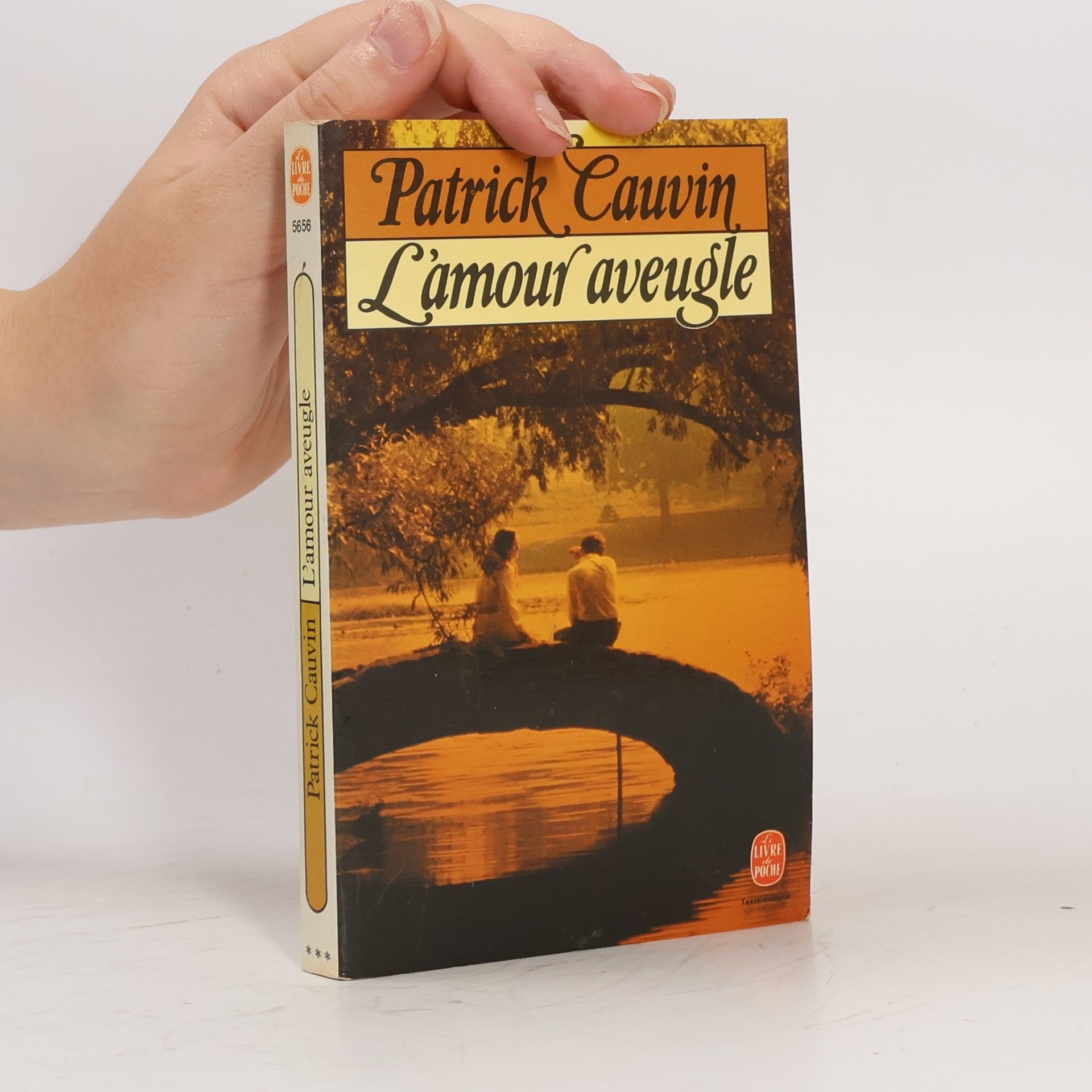 Patrick Cauvin L'amour aveugle