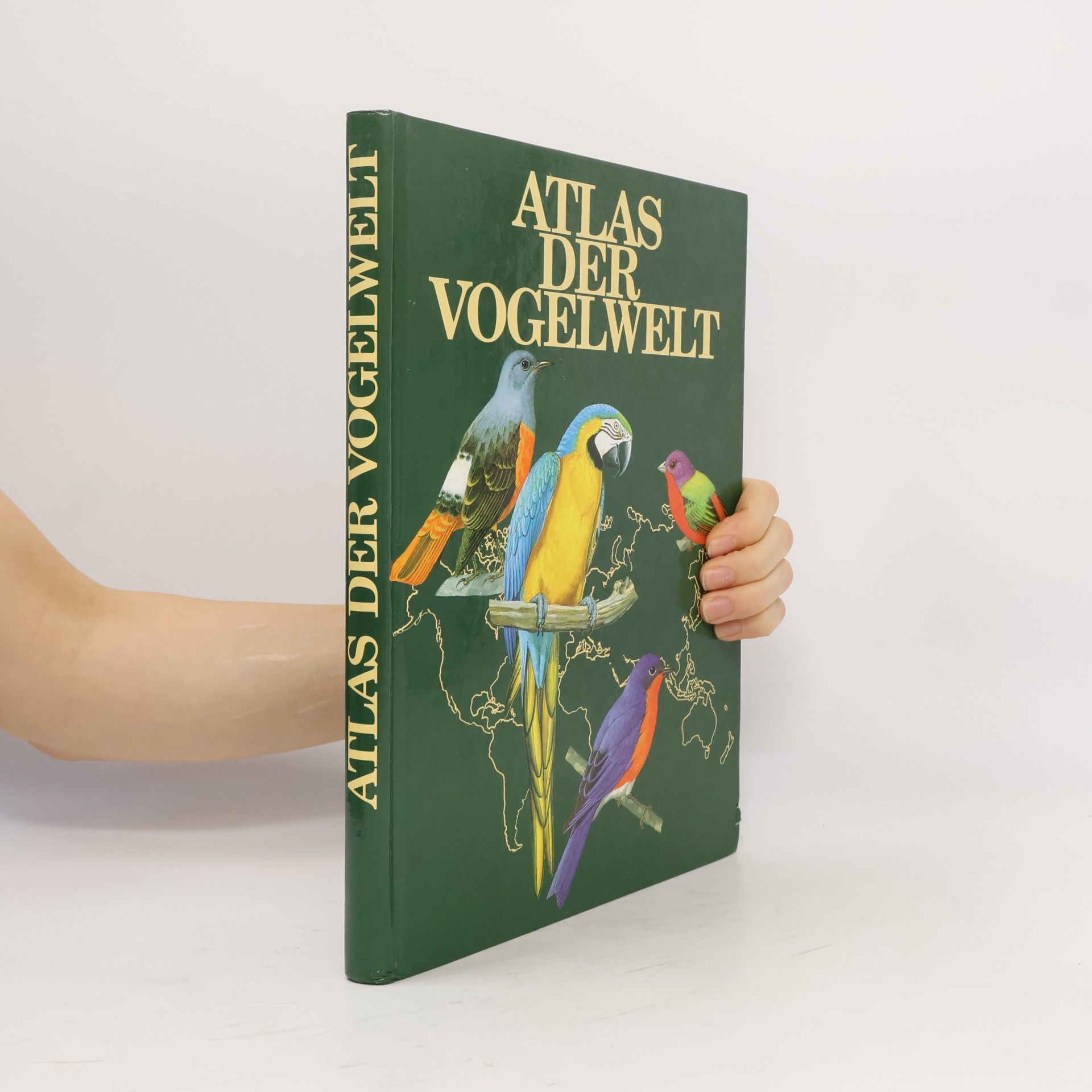 Goetz Rheinwald Atlas der Vogelwelt