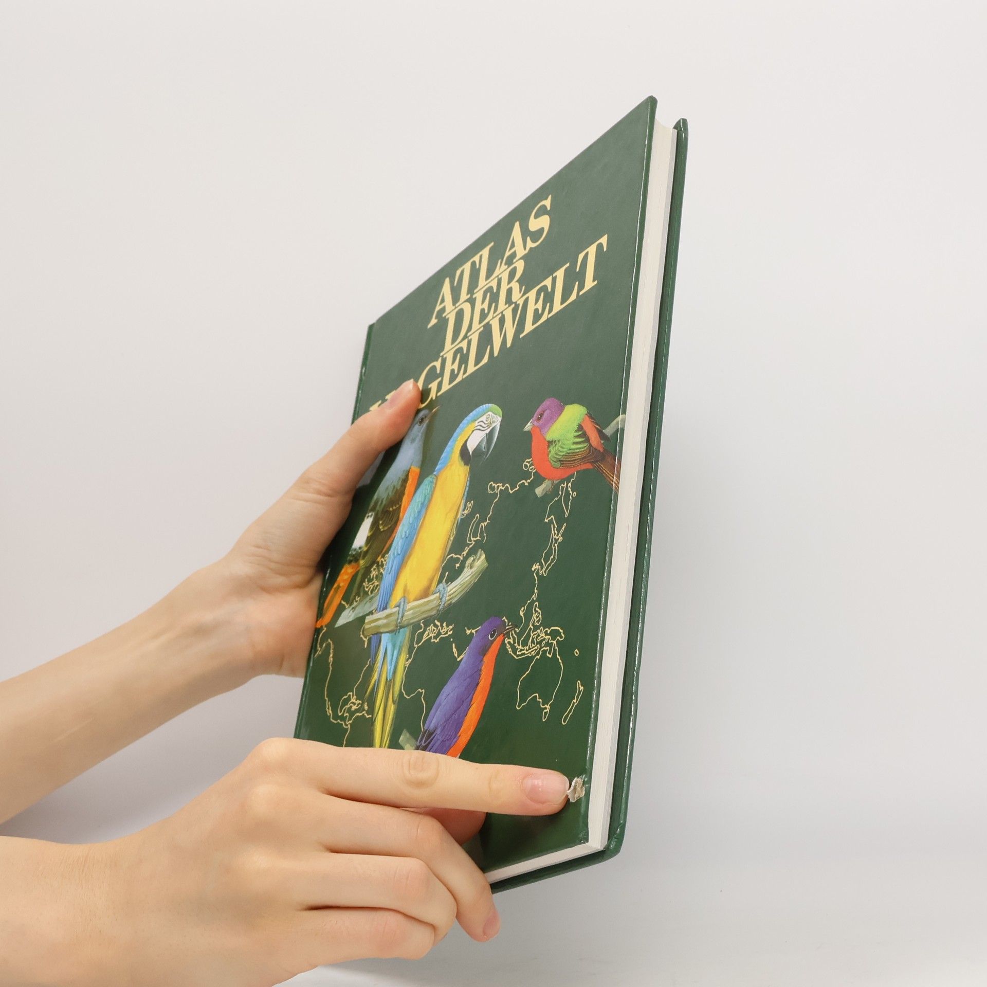 Goetz Rheinwald Atlas der Vogelwelt