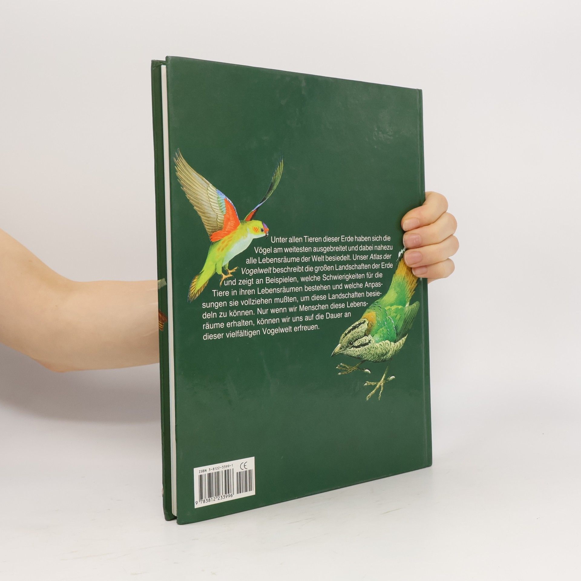 Goetz Rheinwald Atlas der Vogelwelt