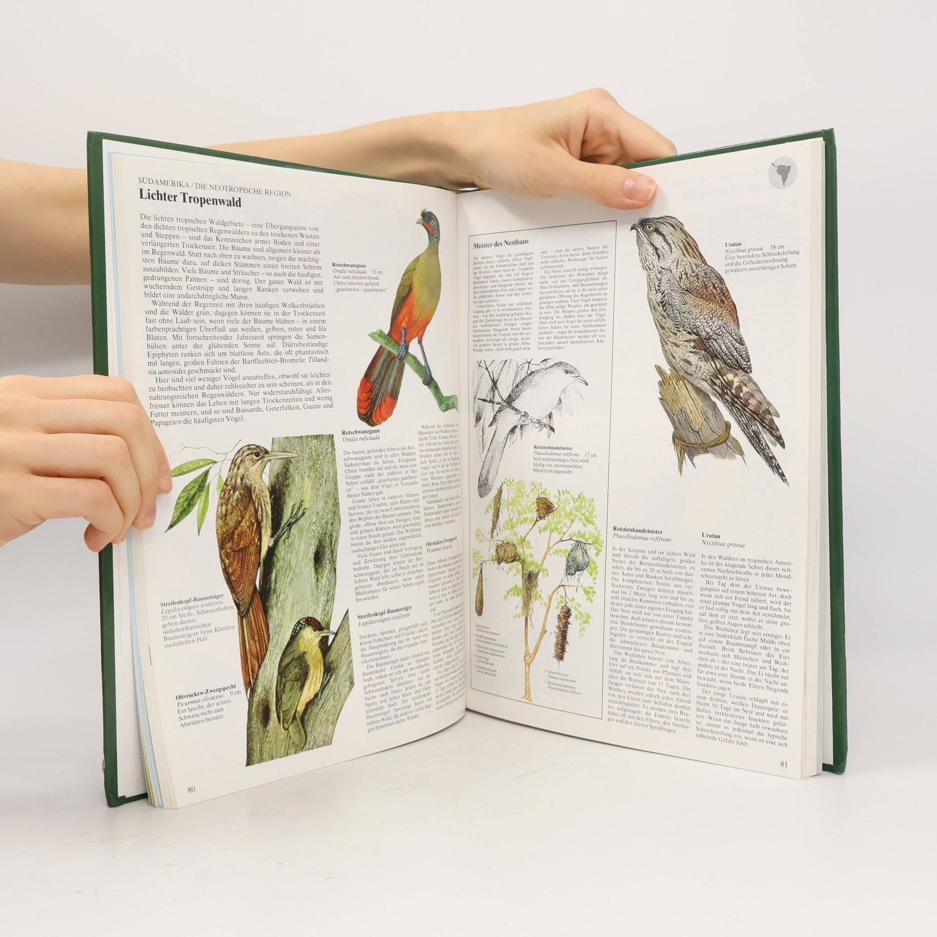Goetz Rheinwald Atlas der Vogelwelt