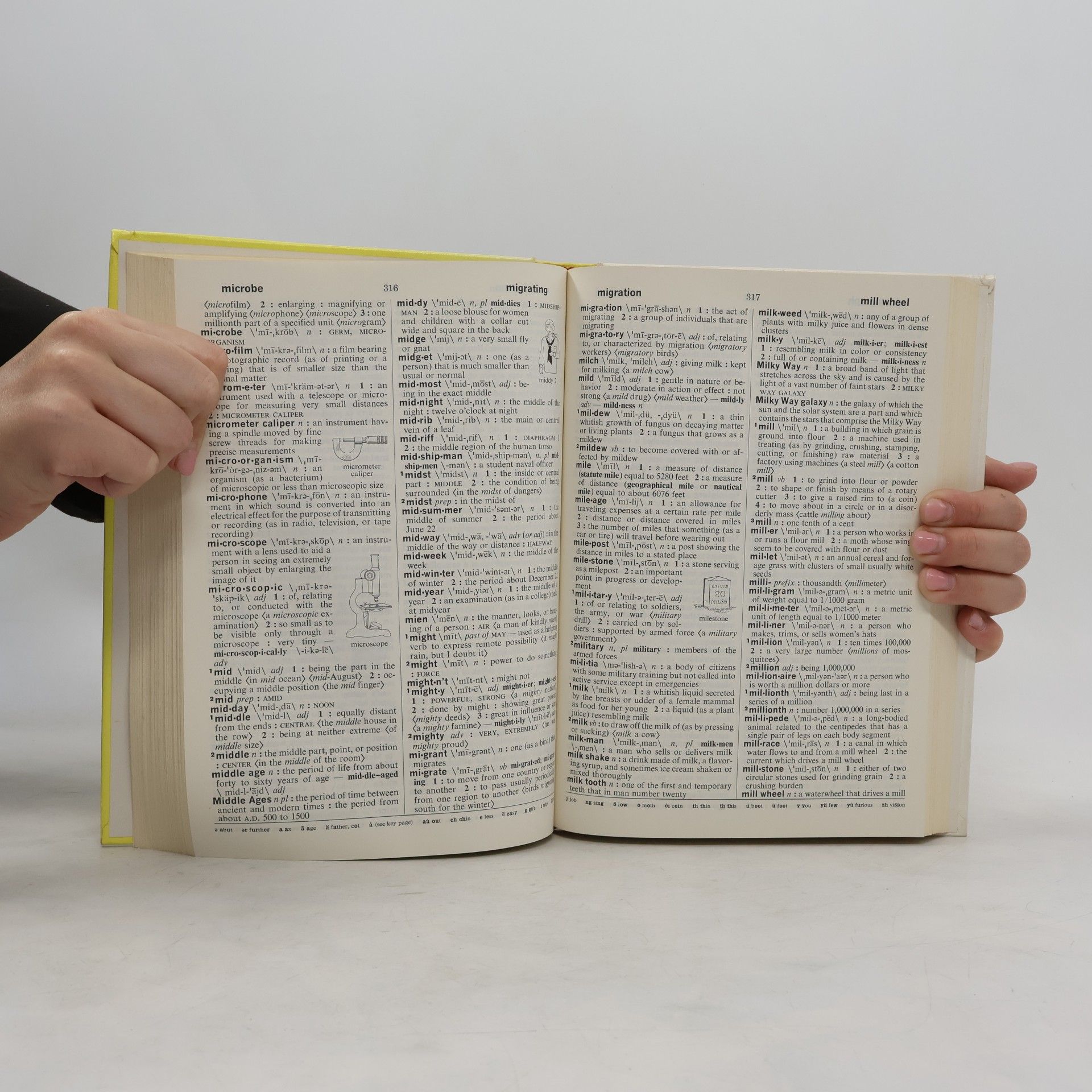 Merriam-Webster Webster's New Elementary Dictionary