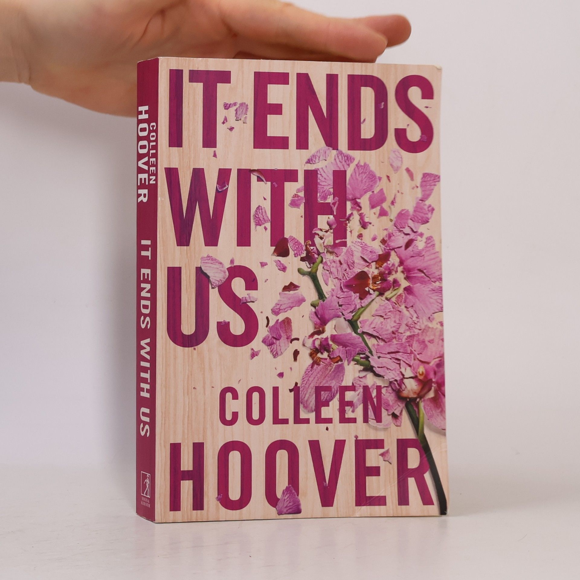 Colleen Hoover It Ends With Us