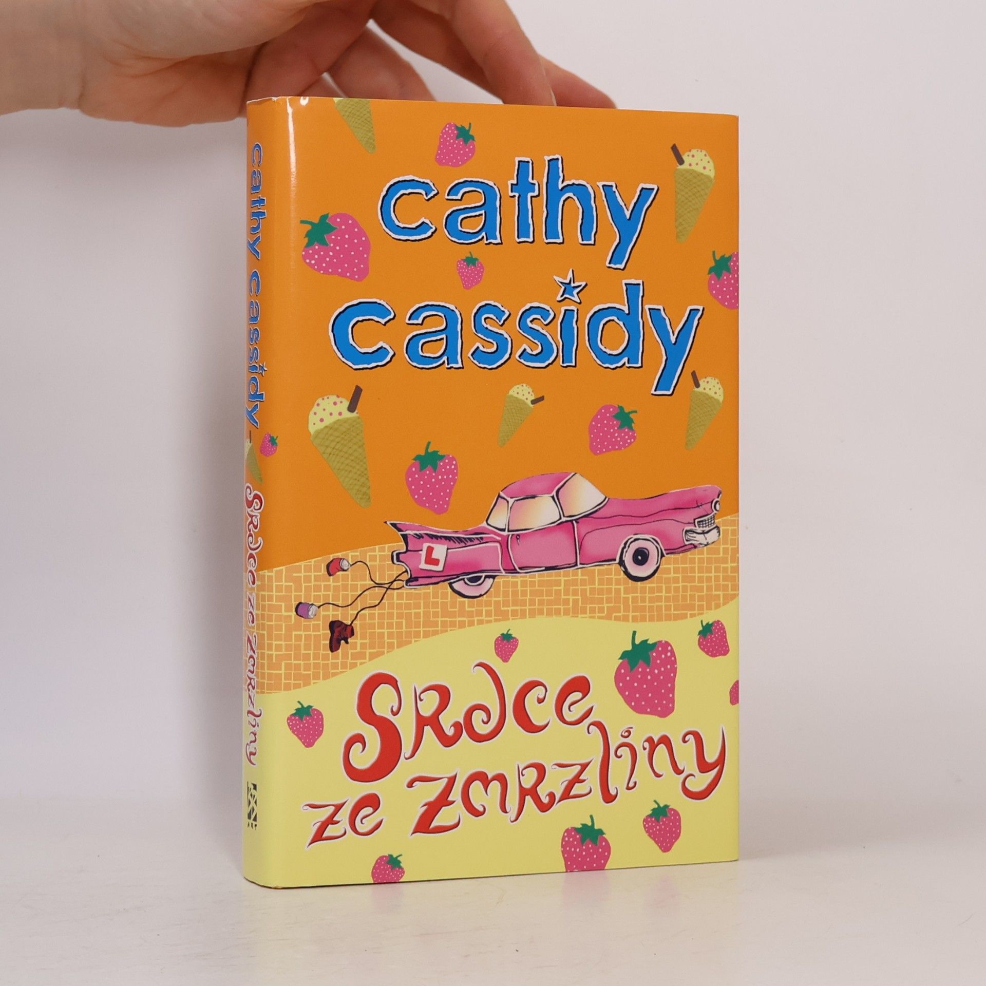Cathy Cassidy Srdce ze zmrzliny