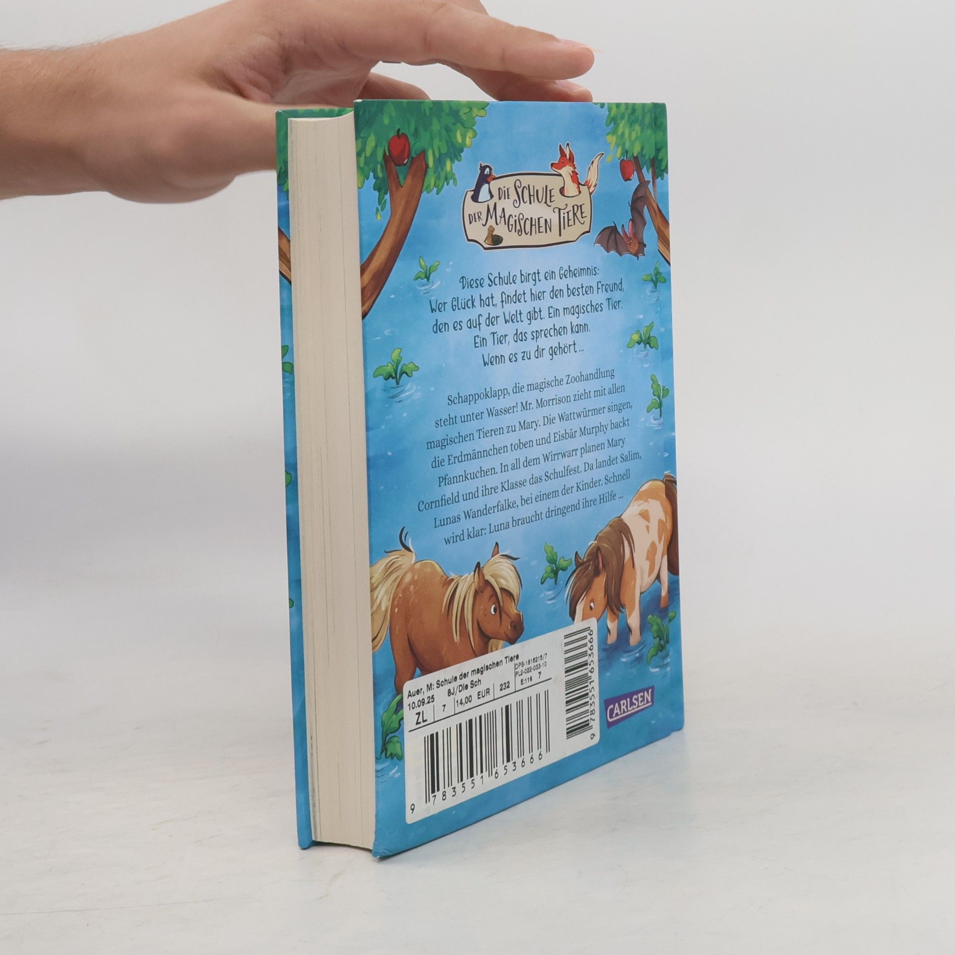 Margit Auer Die Schule der magischen Tiere Neuausgabe 16: Land unter!