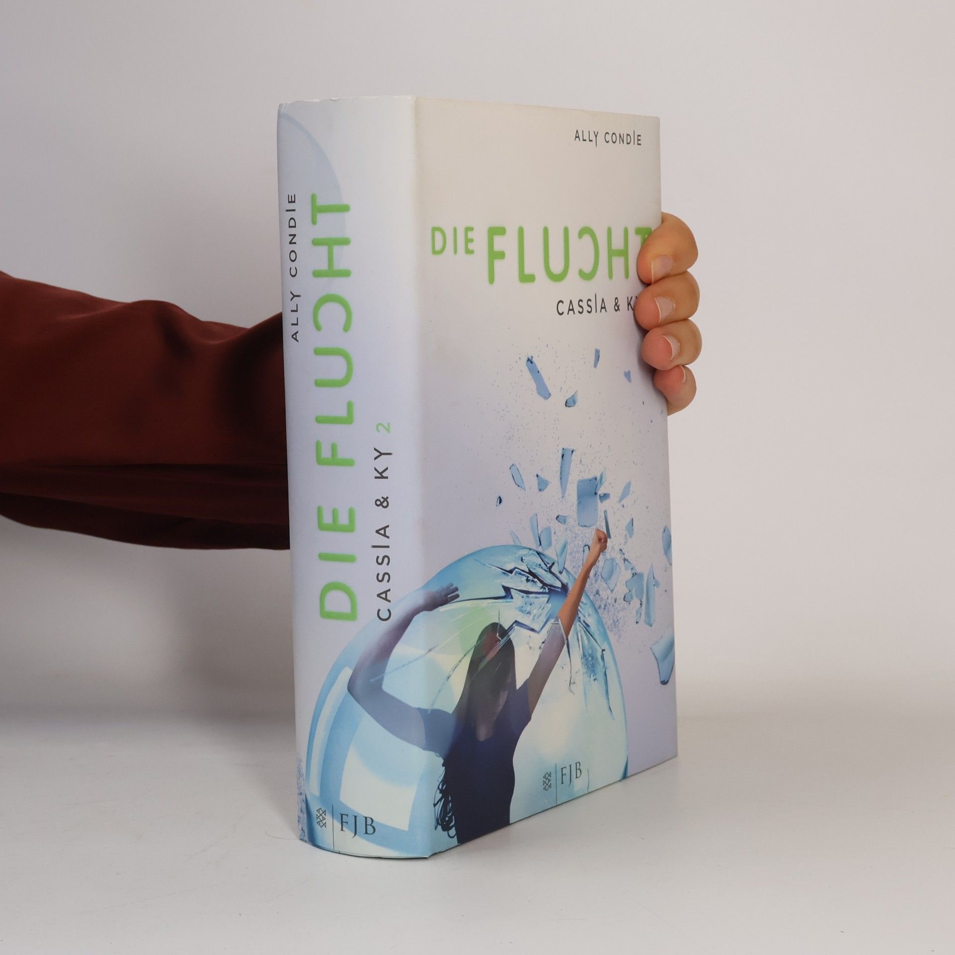 Ally Condie Die Flucht