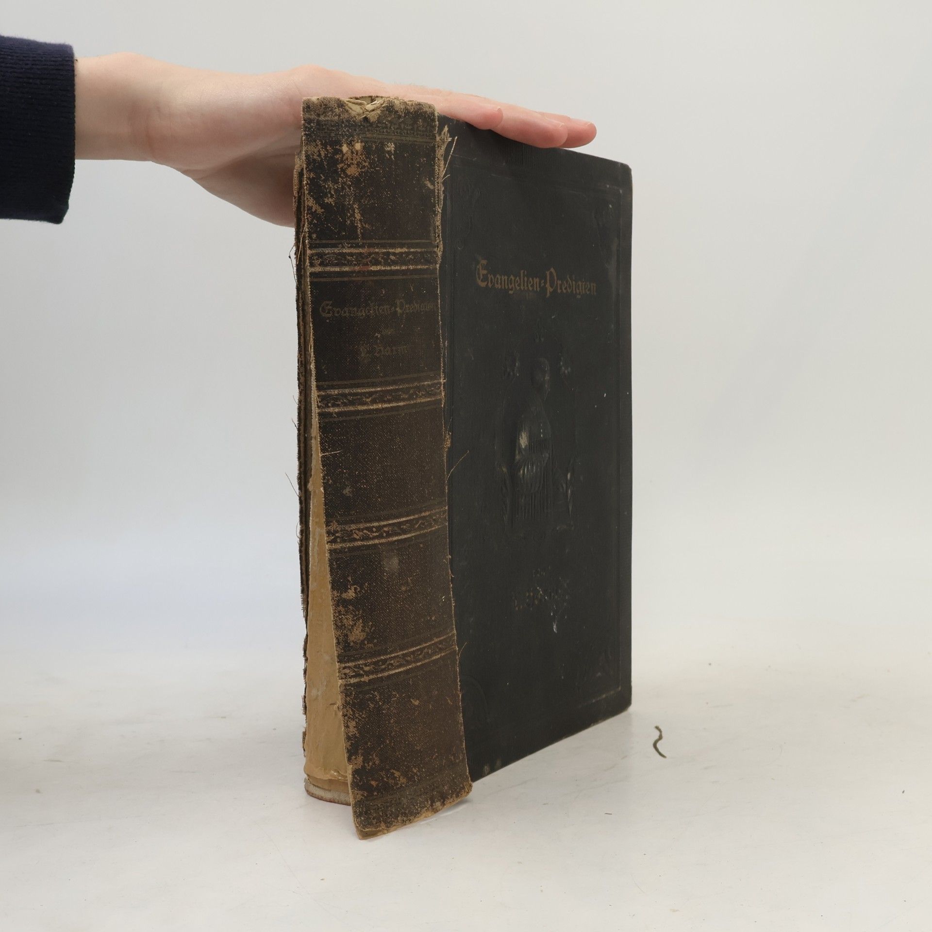Predigten über die Evangelien des Kirchenjahrs