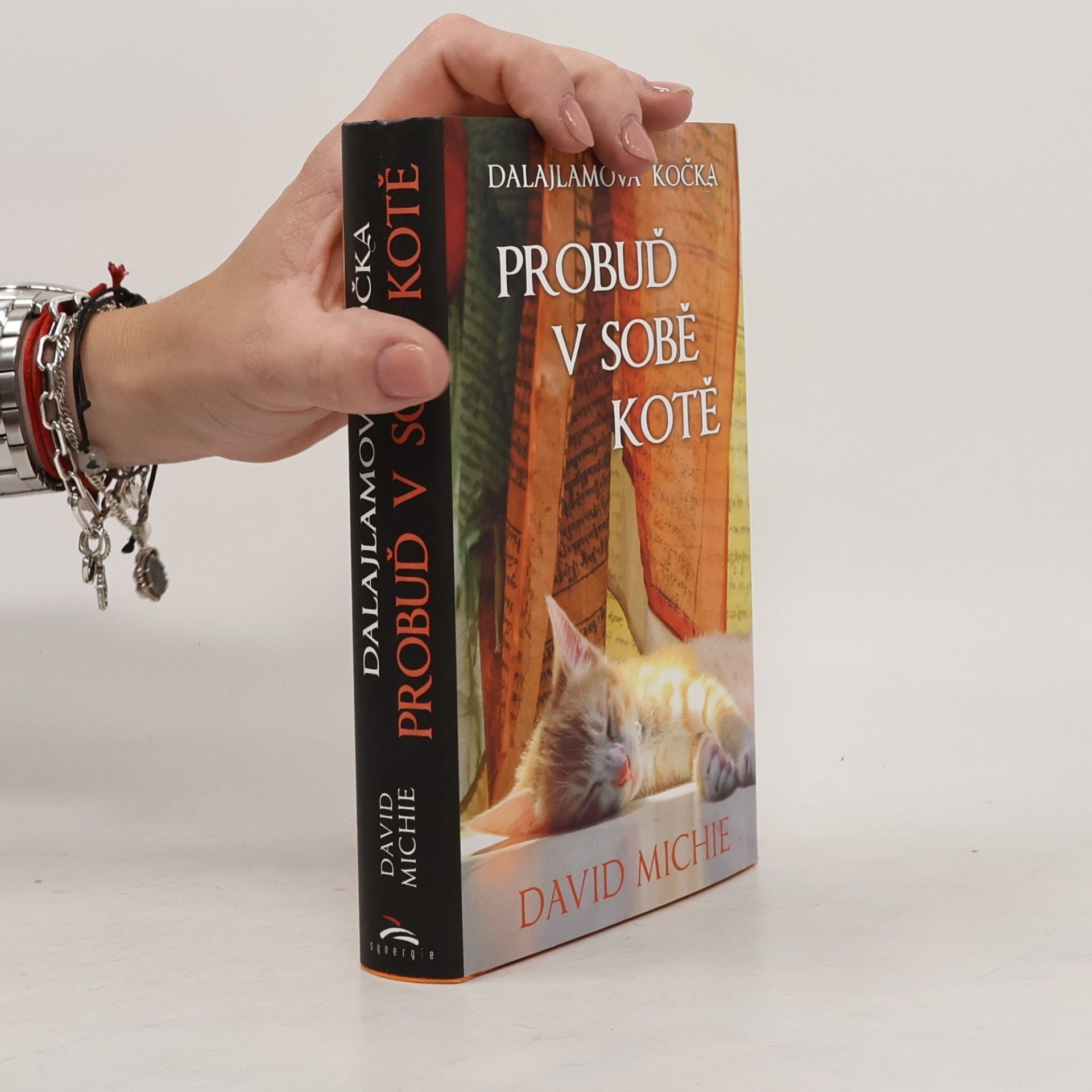 David Michie Dalajlamova kočka - probuď v sobě kotě