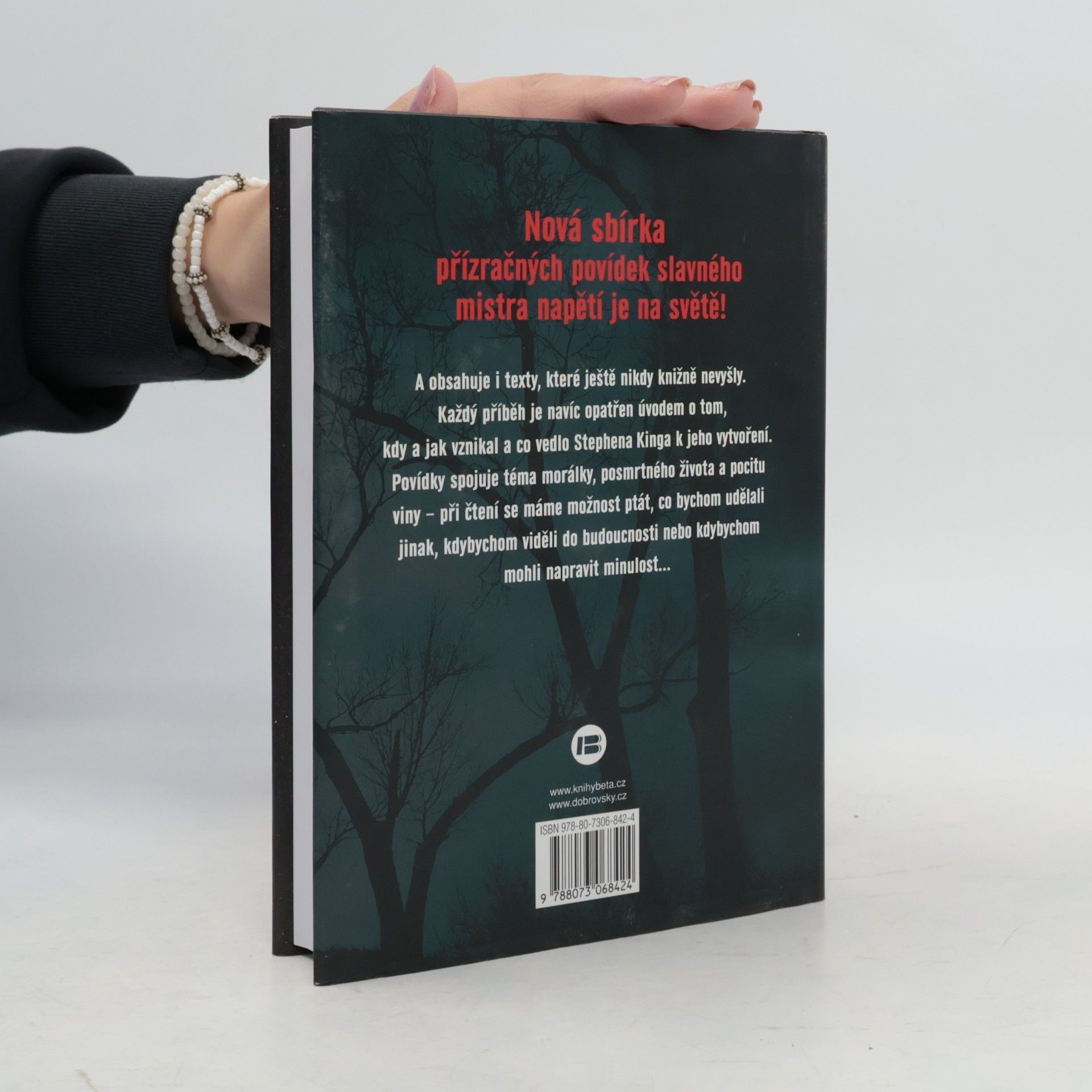Stephen King Bazar zlých snů