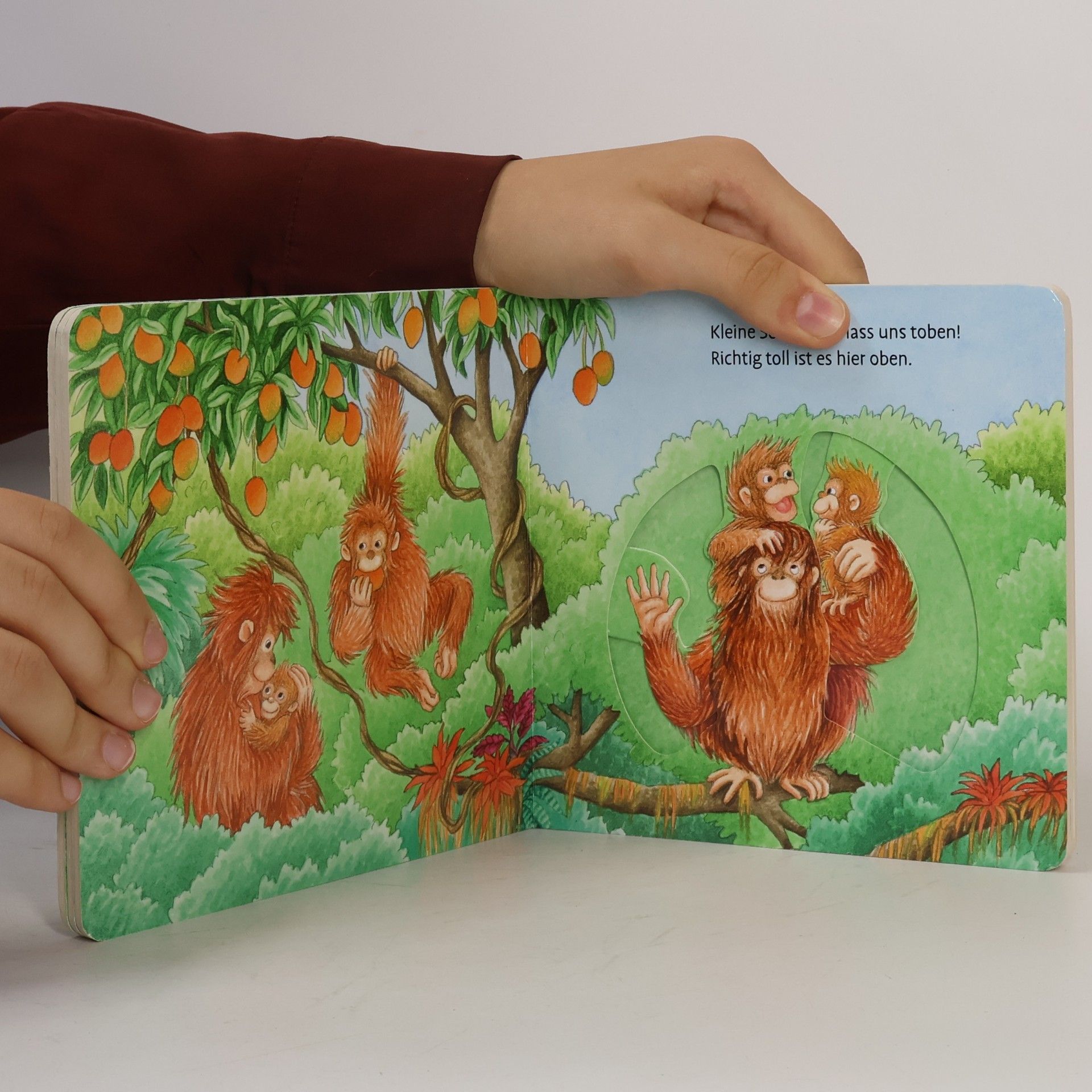 Barbara Jelenkovich Schau mal, wer ist da? - im Zoo